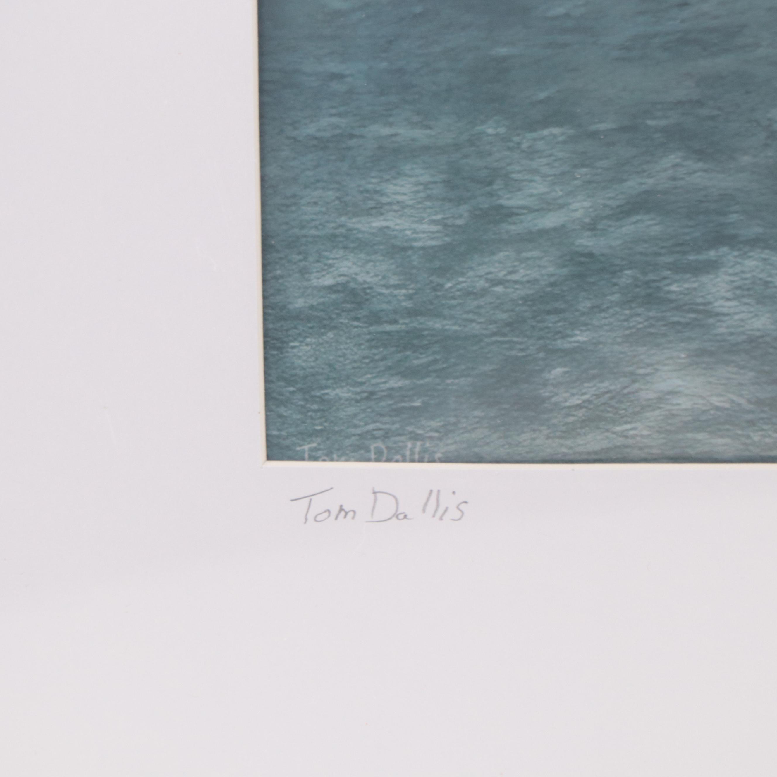 Tom Dallis Digital Photograph "Cups of Flowers"