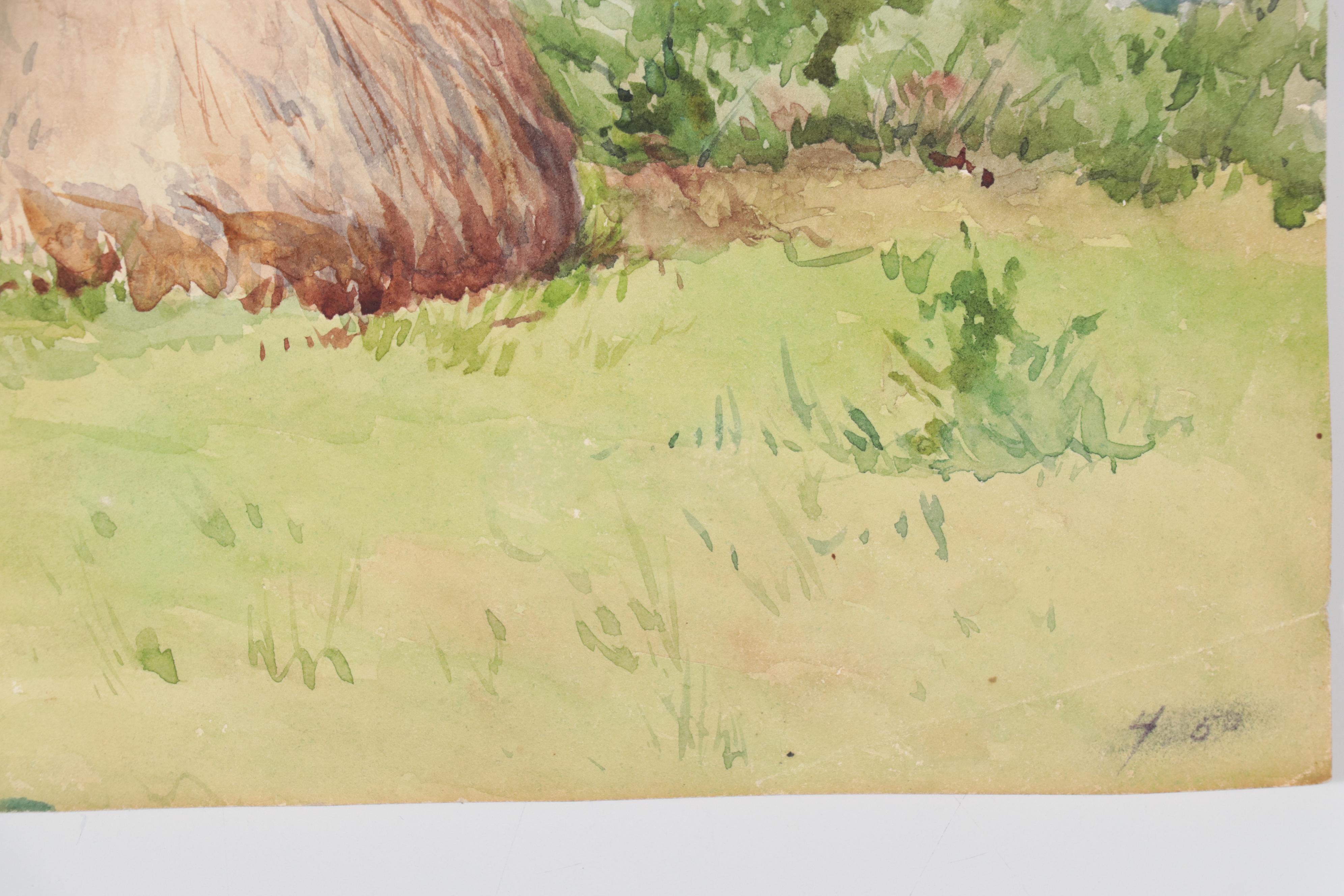 Landscape and Still Life Watercolor Paintings