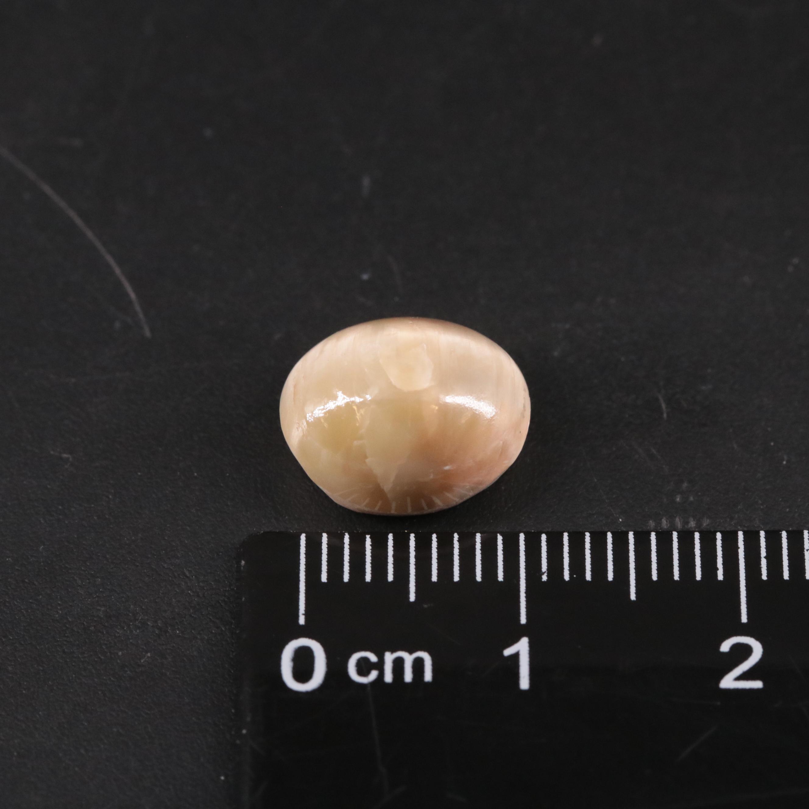 Loose 6.05 CT Cat Eye Quartz