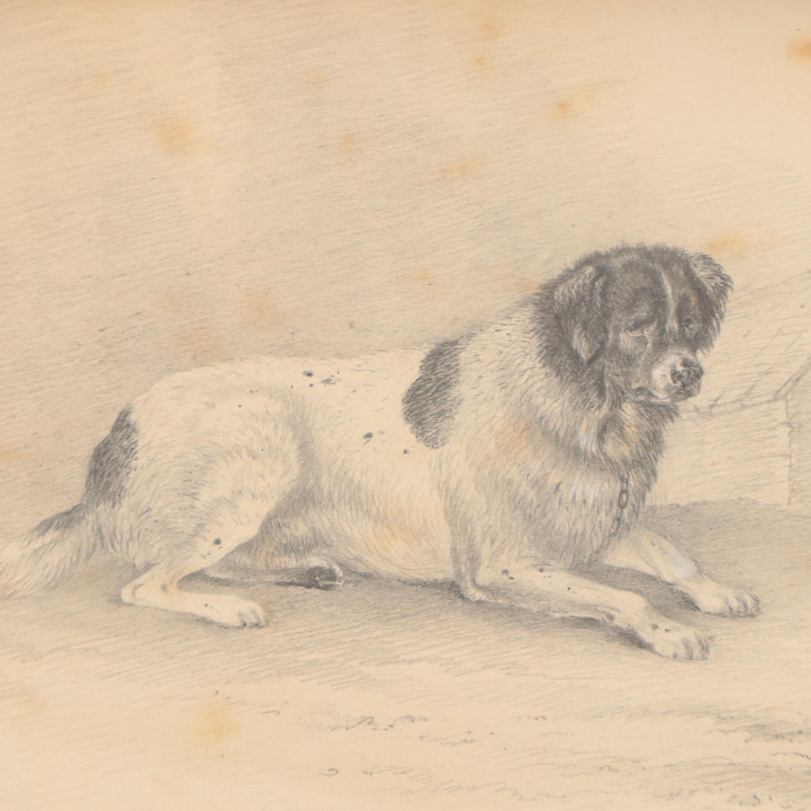 James Fawcett Graphite Drawing "Fury a Favorite Newfoundland," 1840