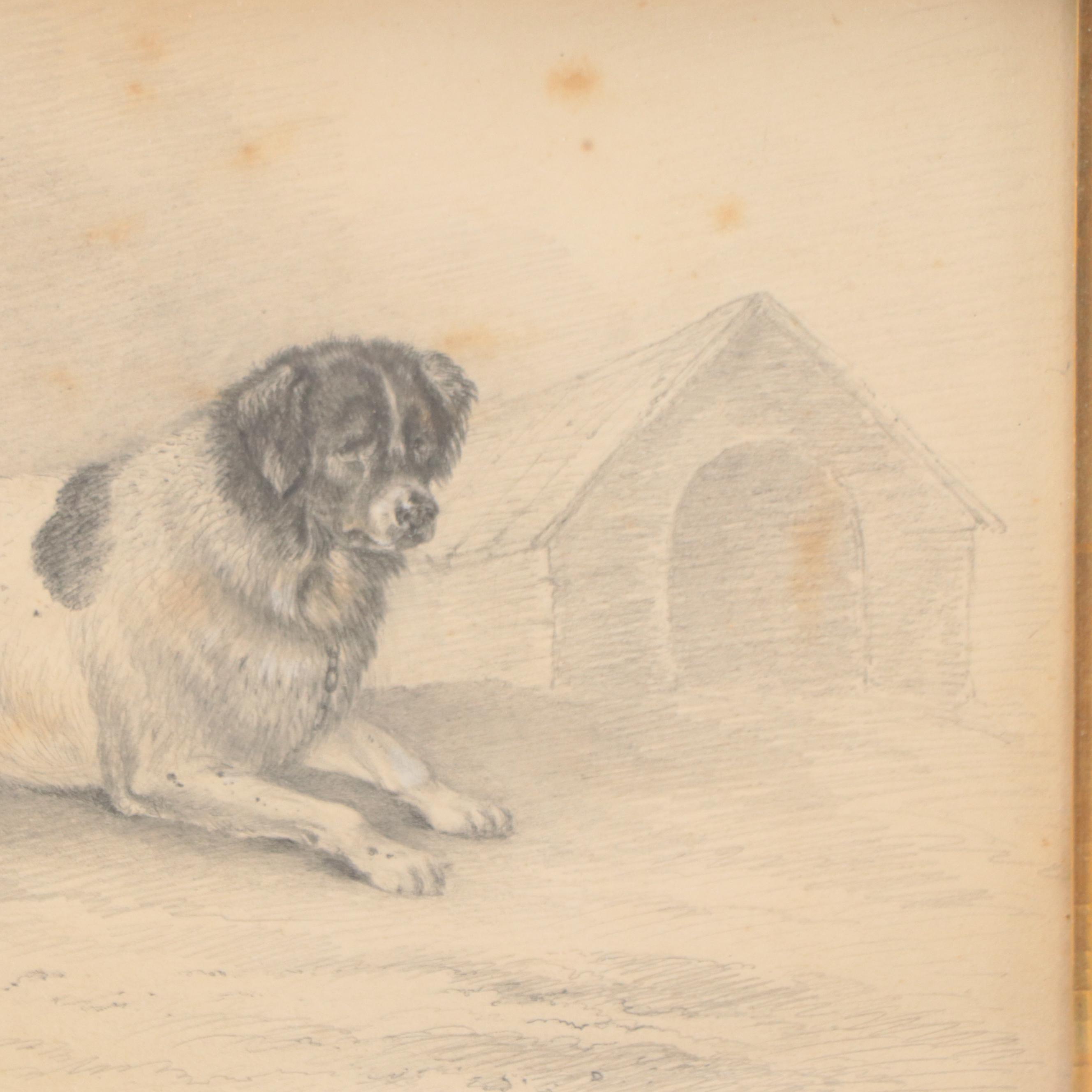 James Fawcett Graphite Drawing "Fury a Favorite Newfoundland," 1840