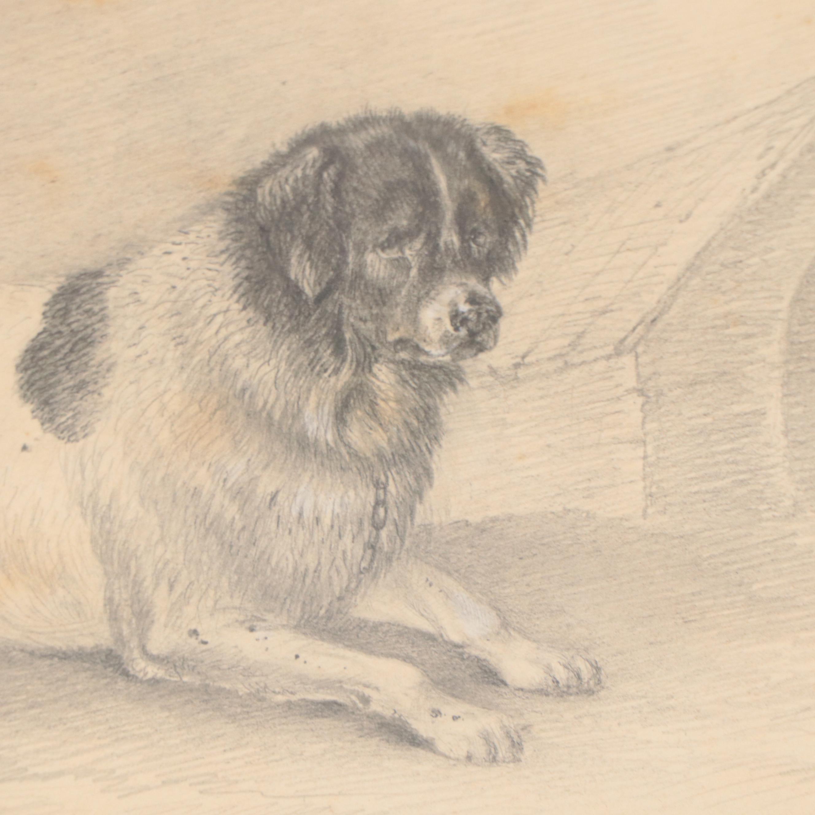James Fawcett Graphite Drawing "Fury a Favorite Newfoundland," 1840
