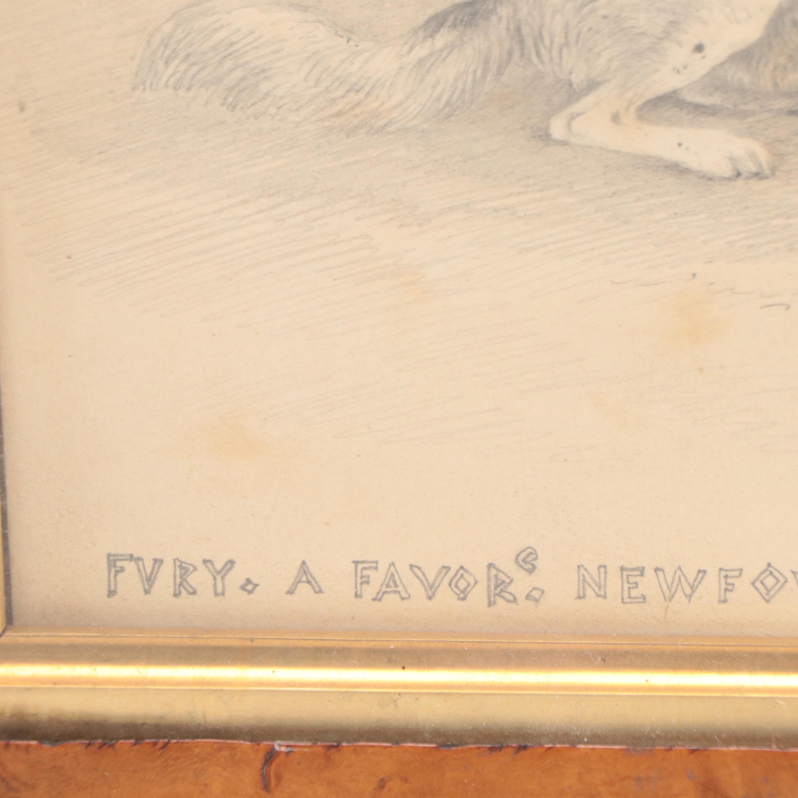 James Fawcett Graphite Drawing "Fury a Favorite Newfoundland," 1840