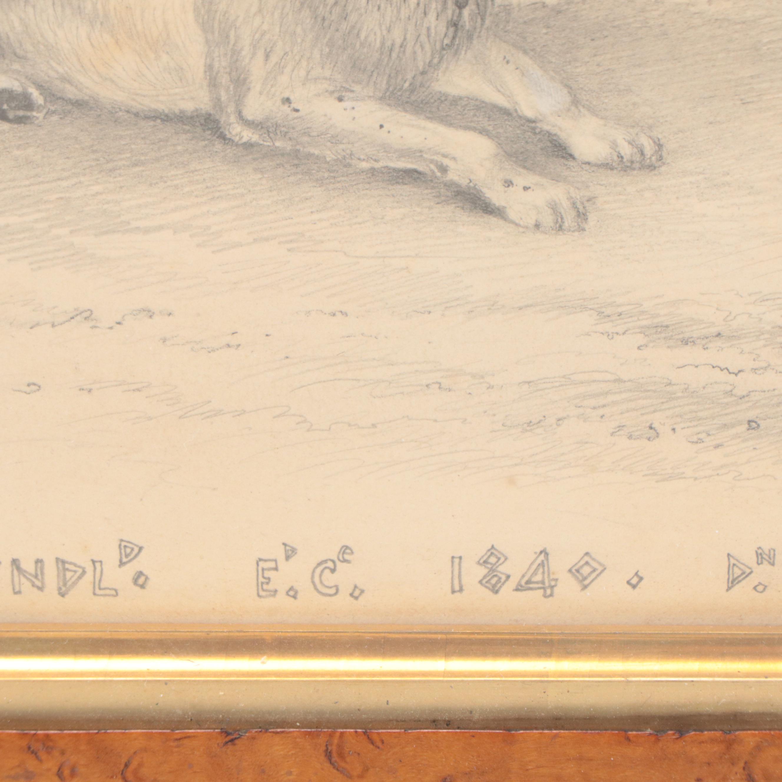 James Fawcett Graphite Drawing "Fury a Favorite Newfoundland," 1840