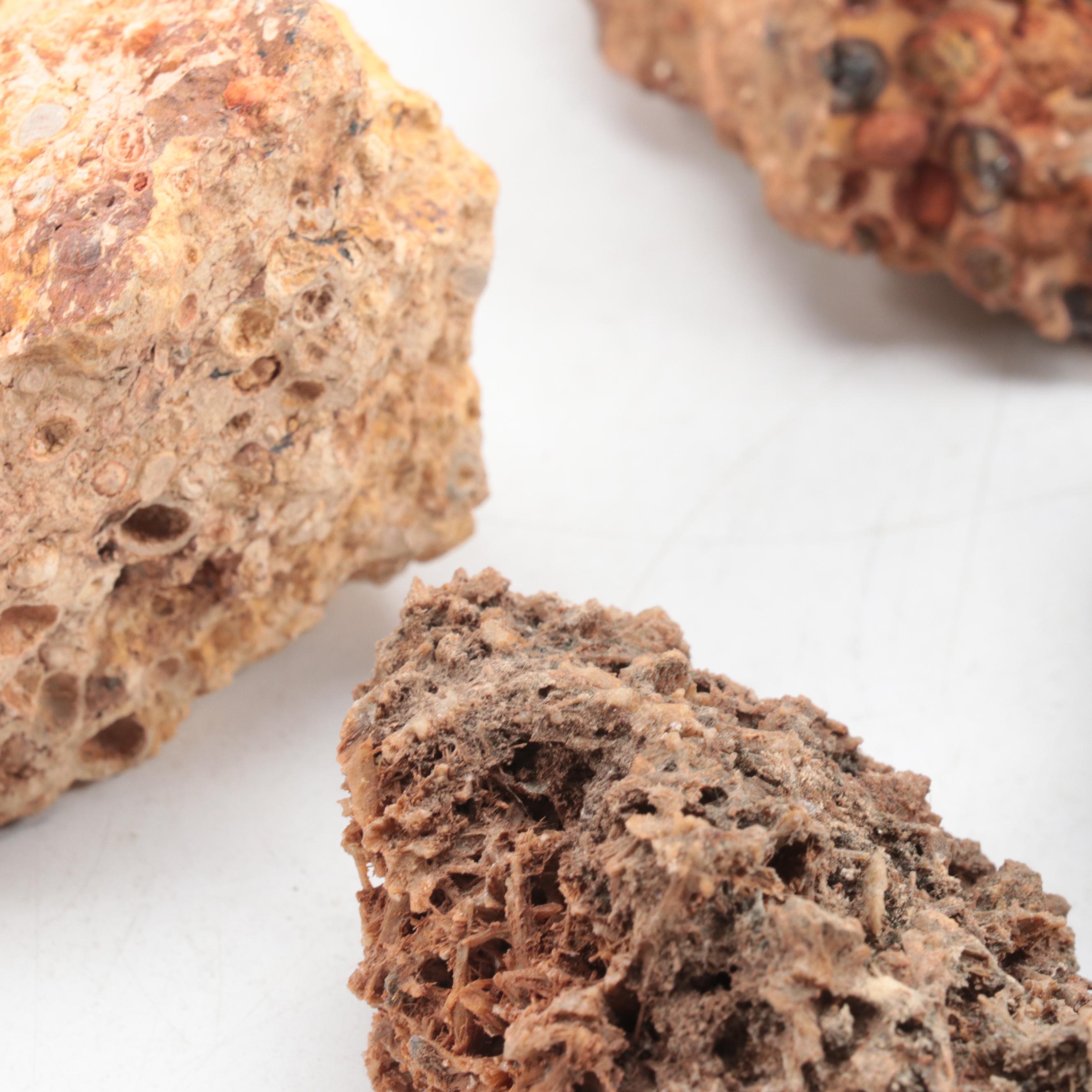 Lava, Aragonite and Rhyolite Mineral Specimens