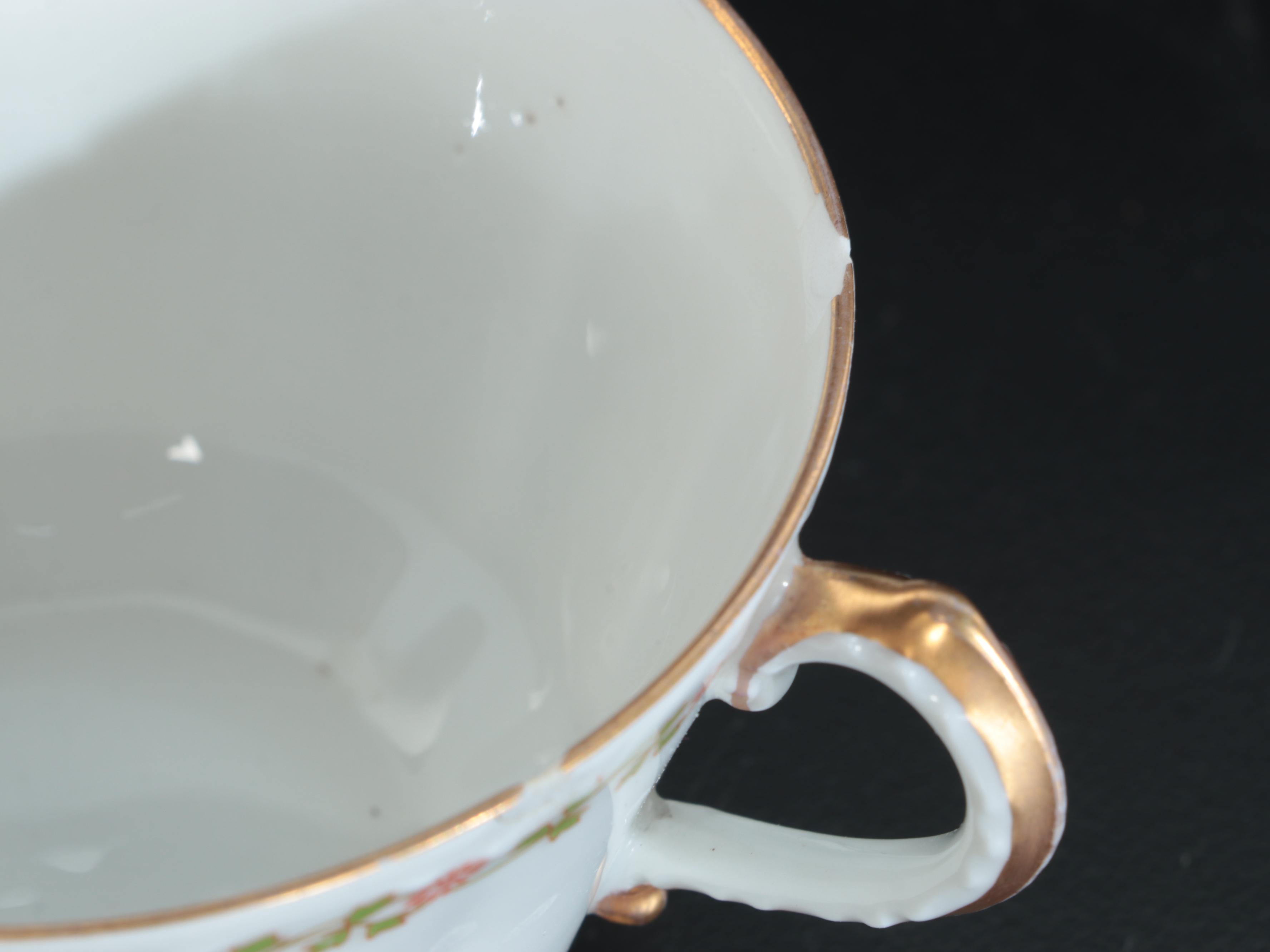 Theodore Haviland Floral Band Limoges Porcelain Dinnerware, Early 20th Century