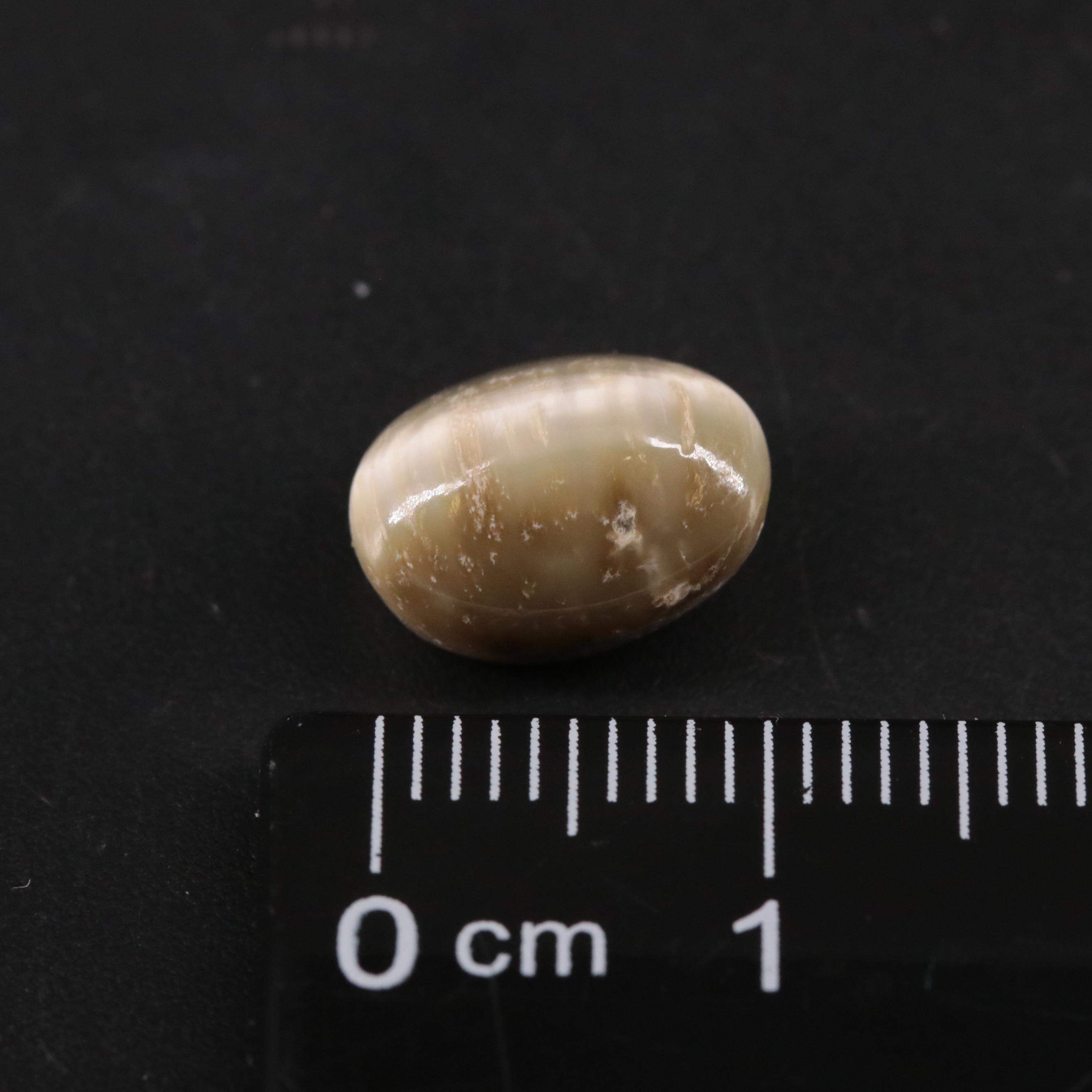 Loose 4.40 CT Cat Eye Quartz