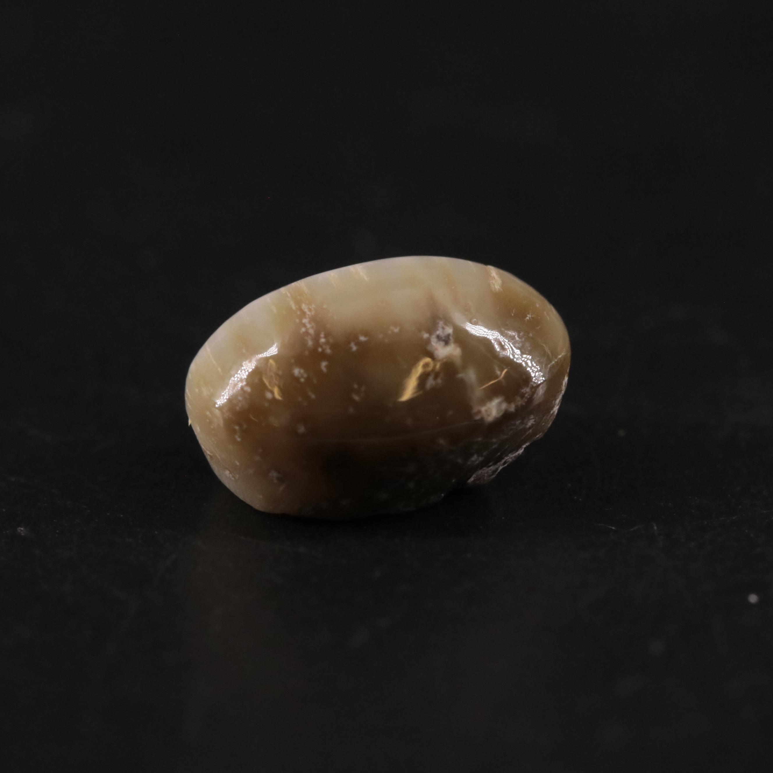 Loose 4.40 CT Cat Eye Quartz