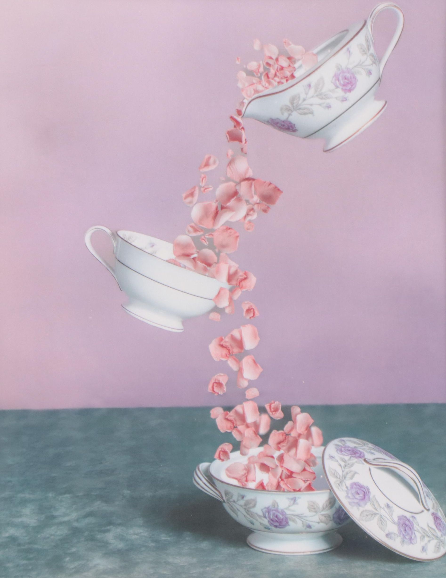 Tom Dallis Digital Photograph "Cups of Flowers"