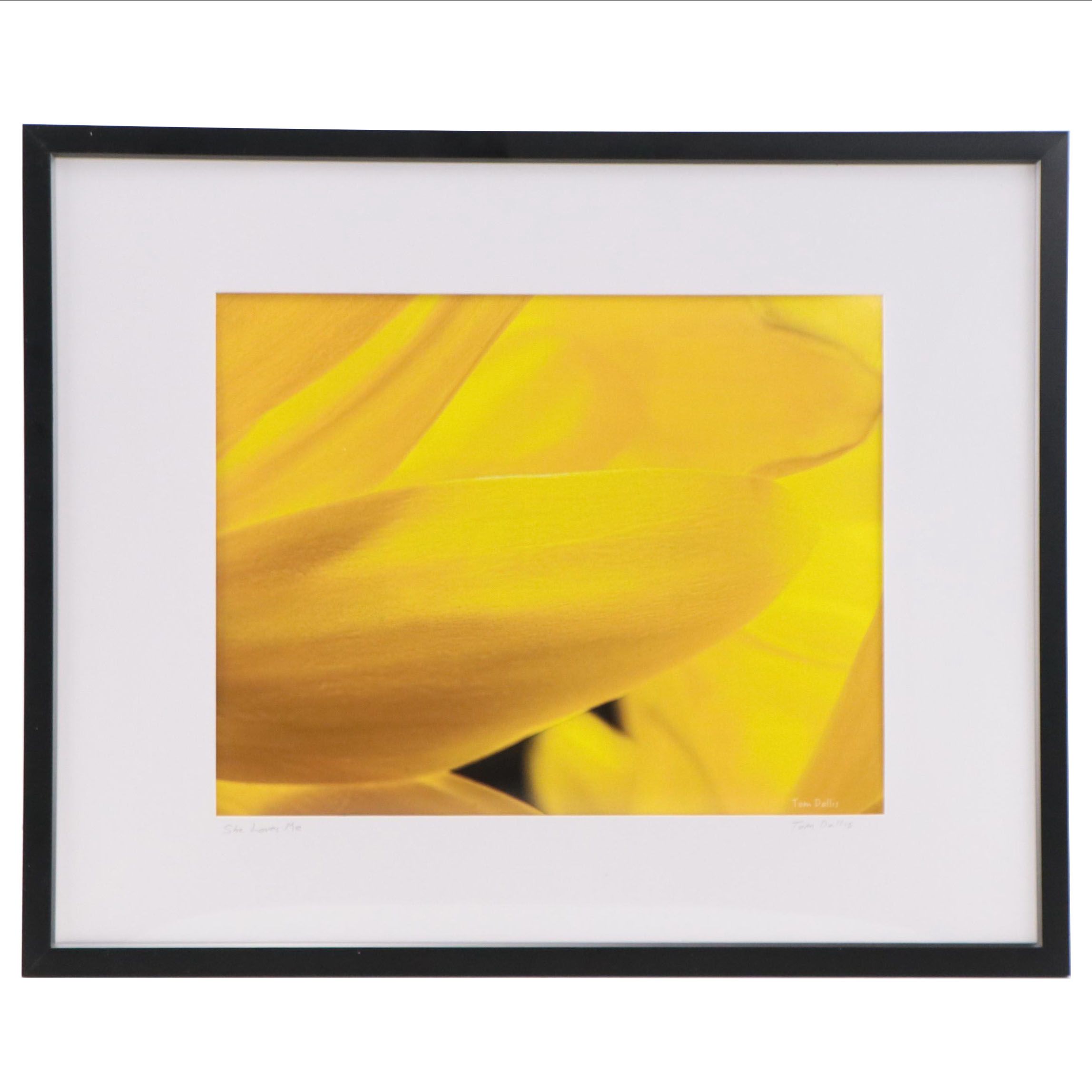 Tom Dallis Digital Photograph of a Flower "She Loves Me"