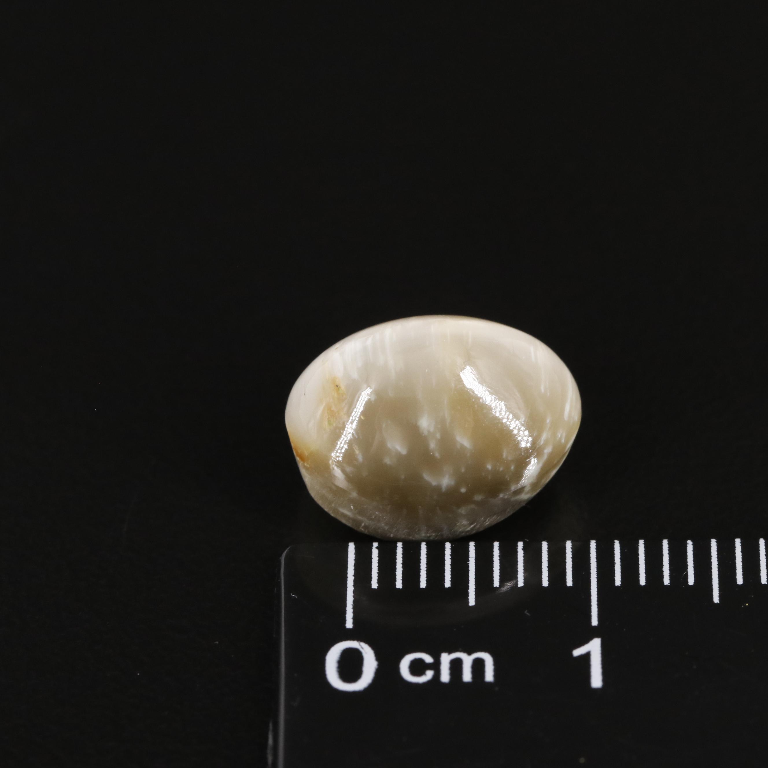 Loose 6.95 CT Cat Eye Quartz