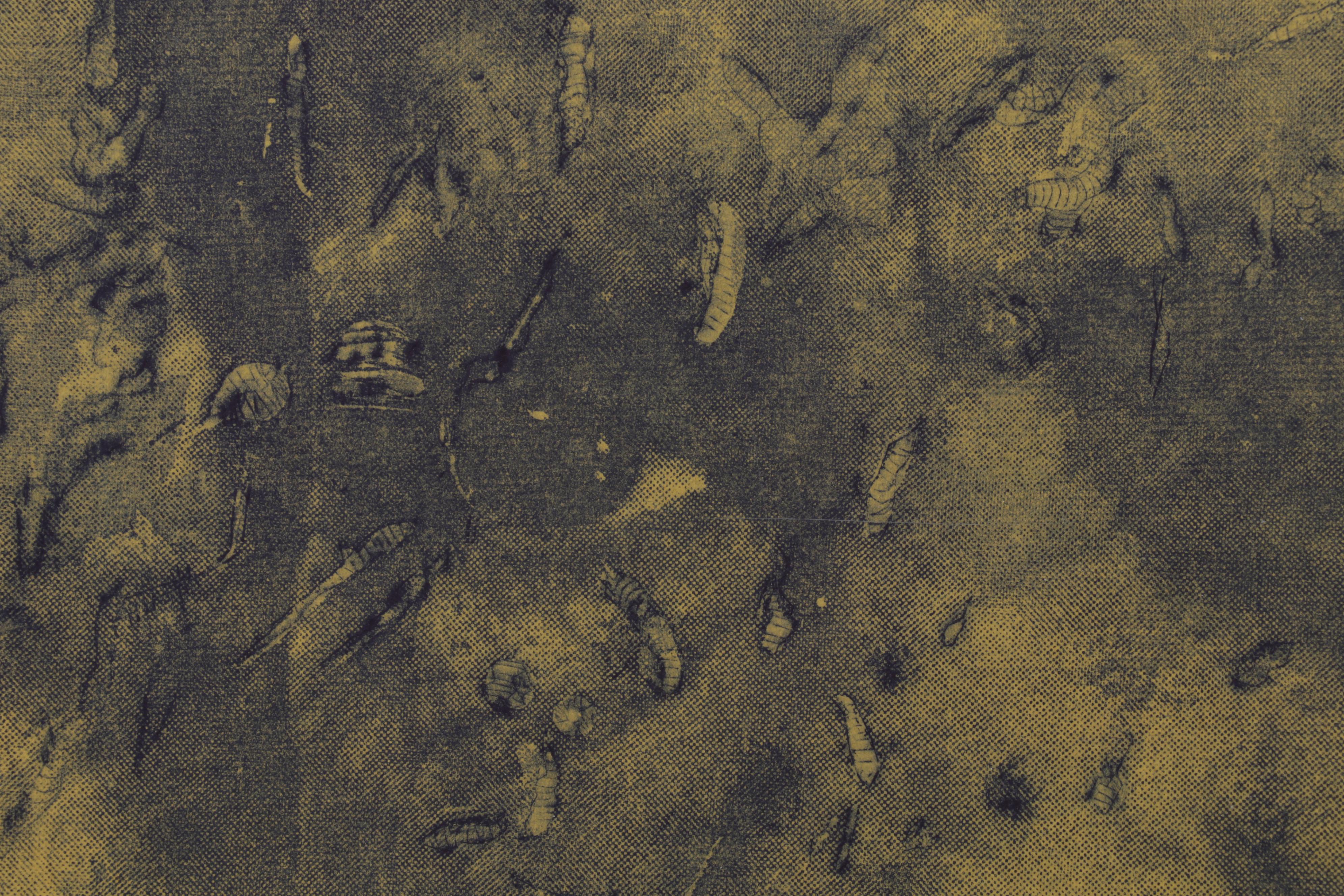 Sidney Chafetz Etching With Chine Collé "Vermiculation, Ephemera #1,"  1974