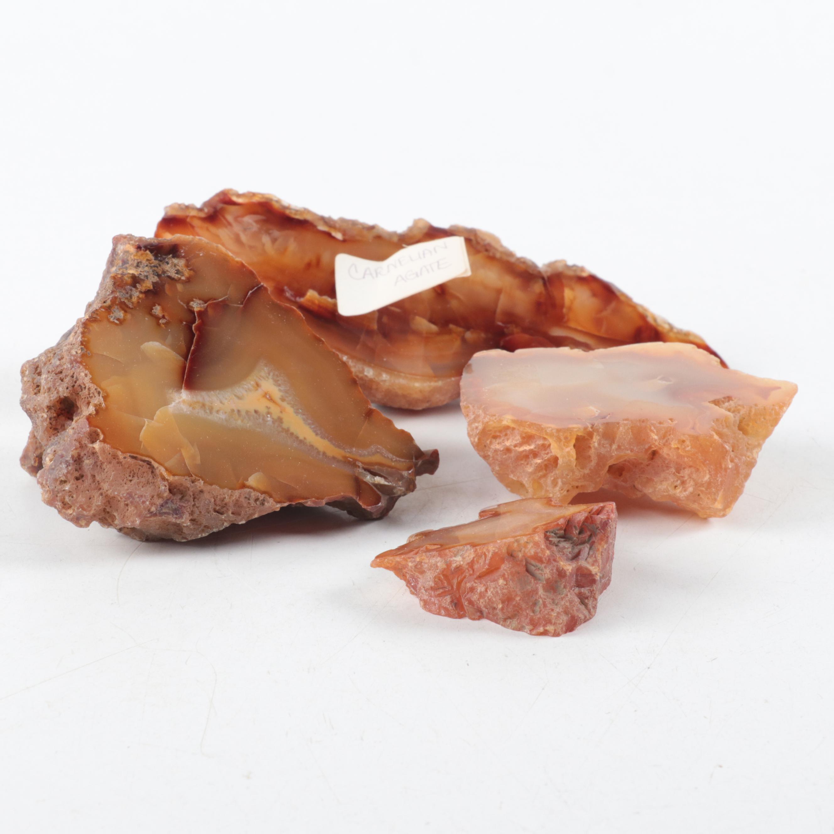 Polished Carnelian Agate Mineral Specimens