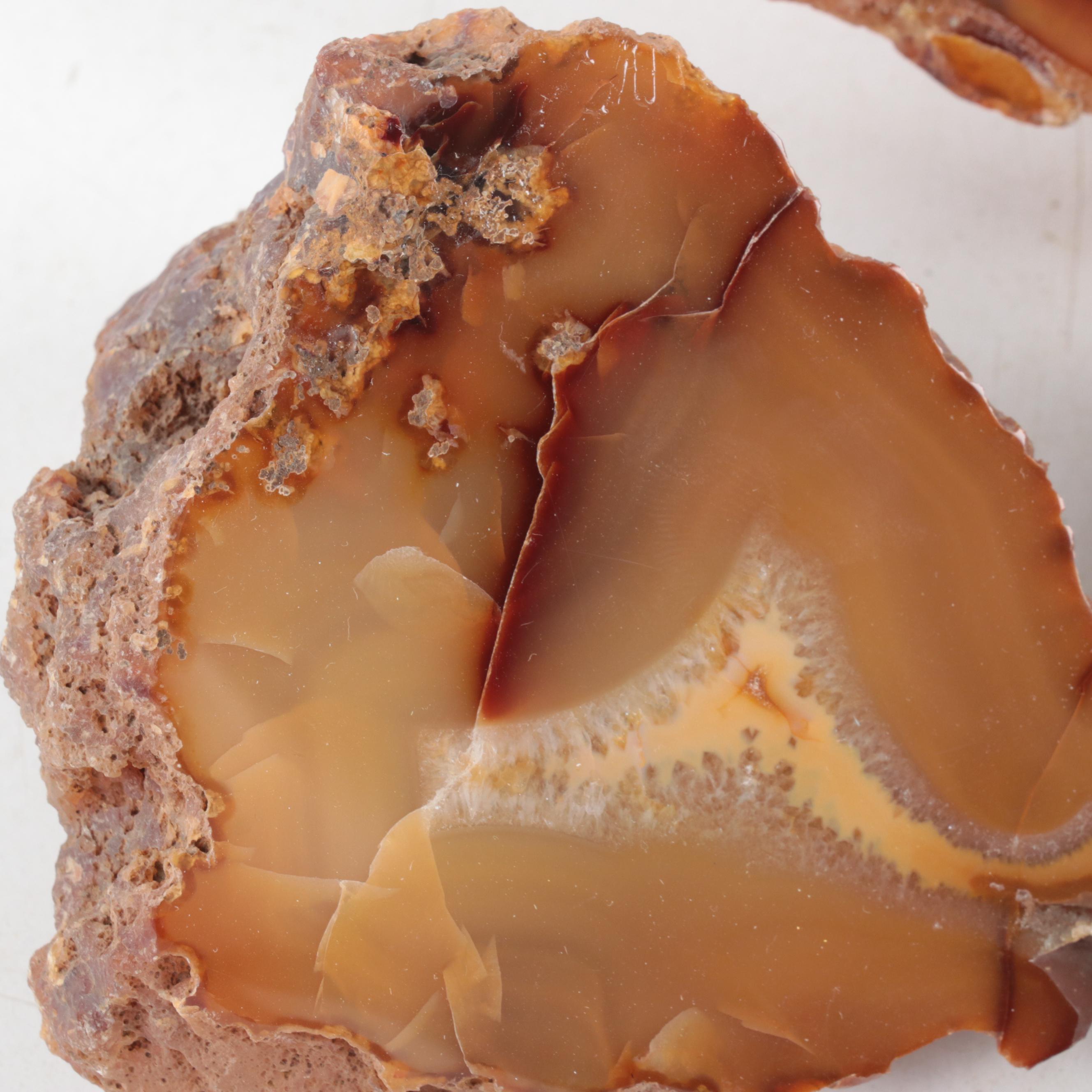 Polished Carnelian Agate Mineral Specimens