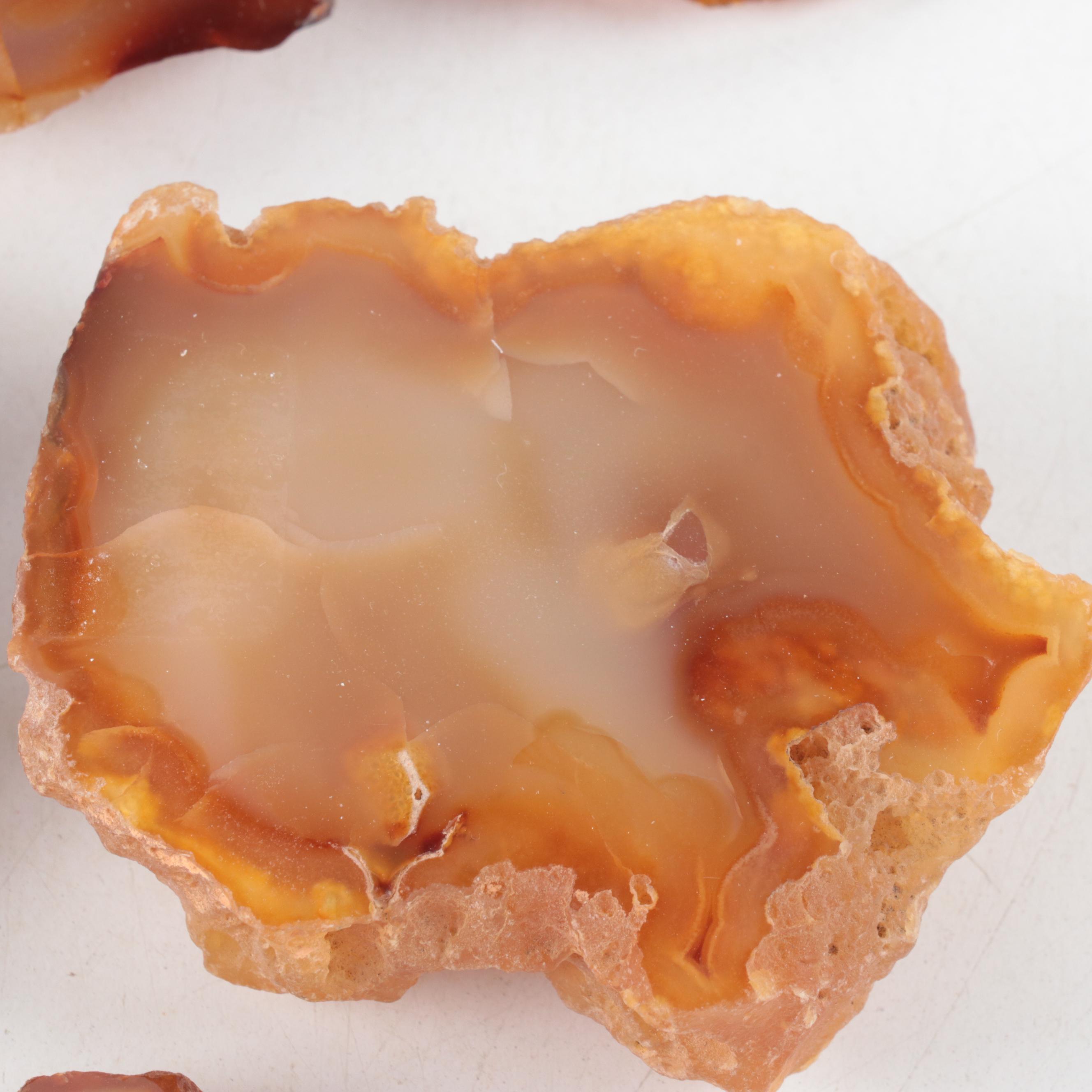 Polished Carnelian Agate Mineral Specimens