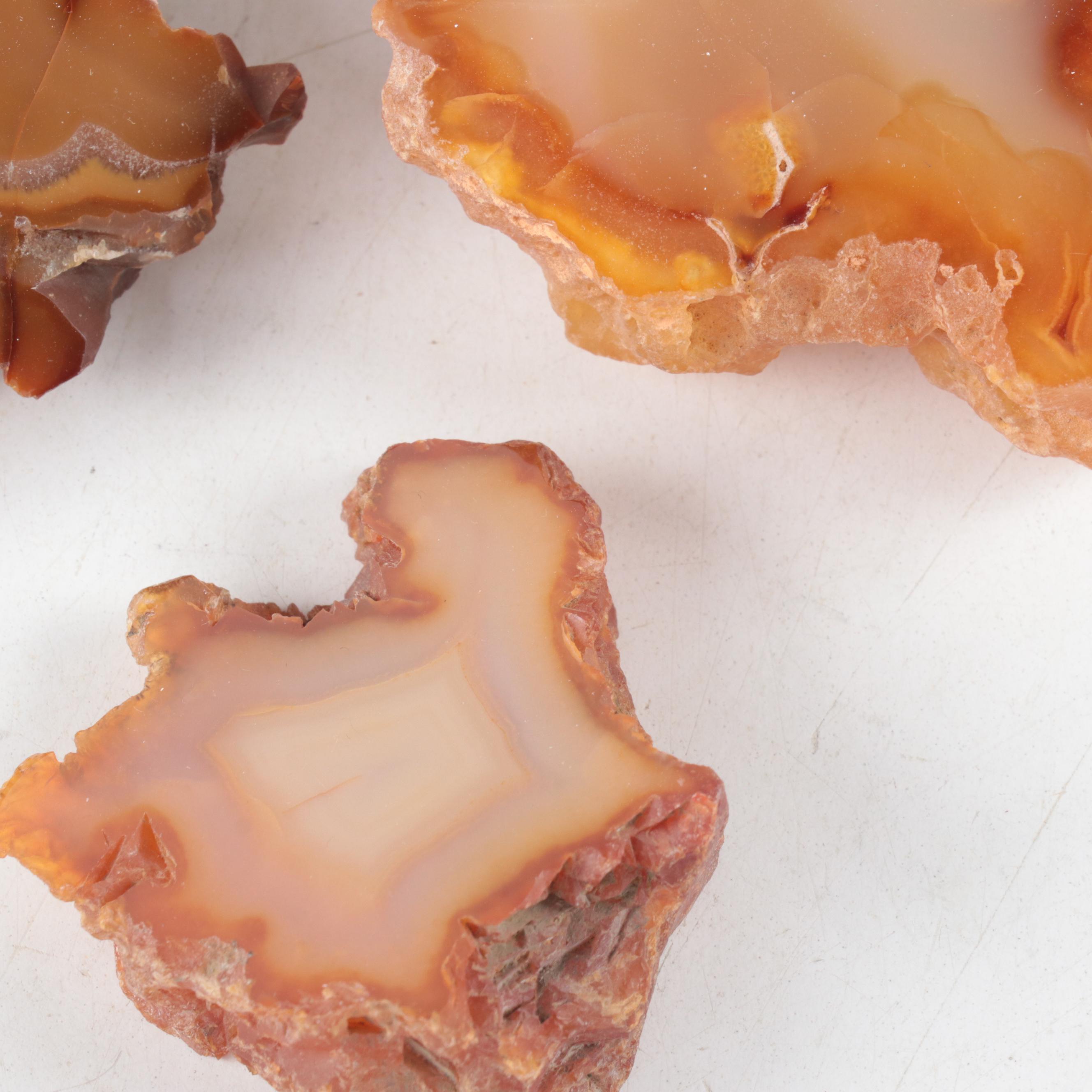 Polished Carnelian Agate Mineral Specimens