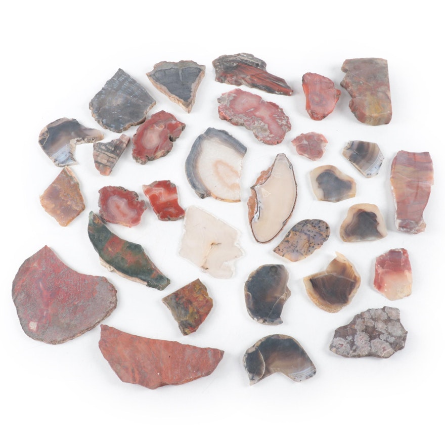 Carnelian Agate, Petrified Wood and Other Mineral Specimens