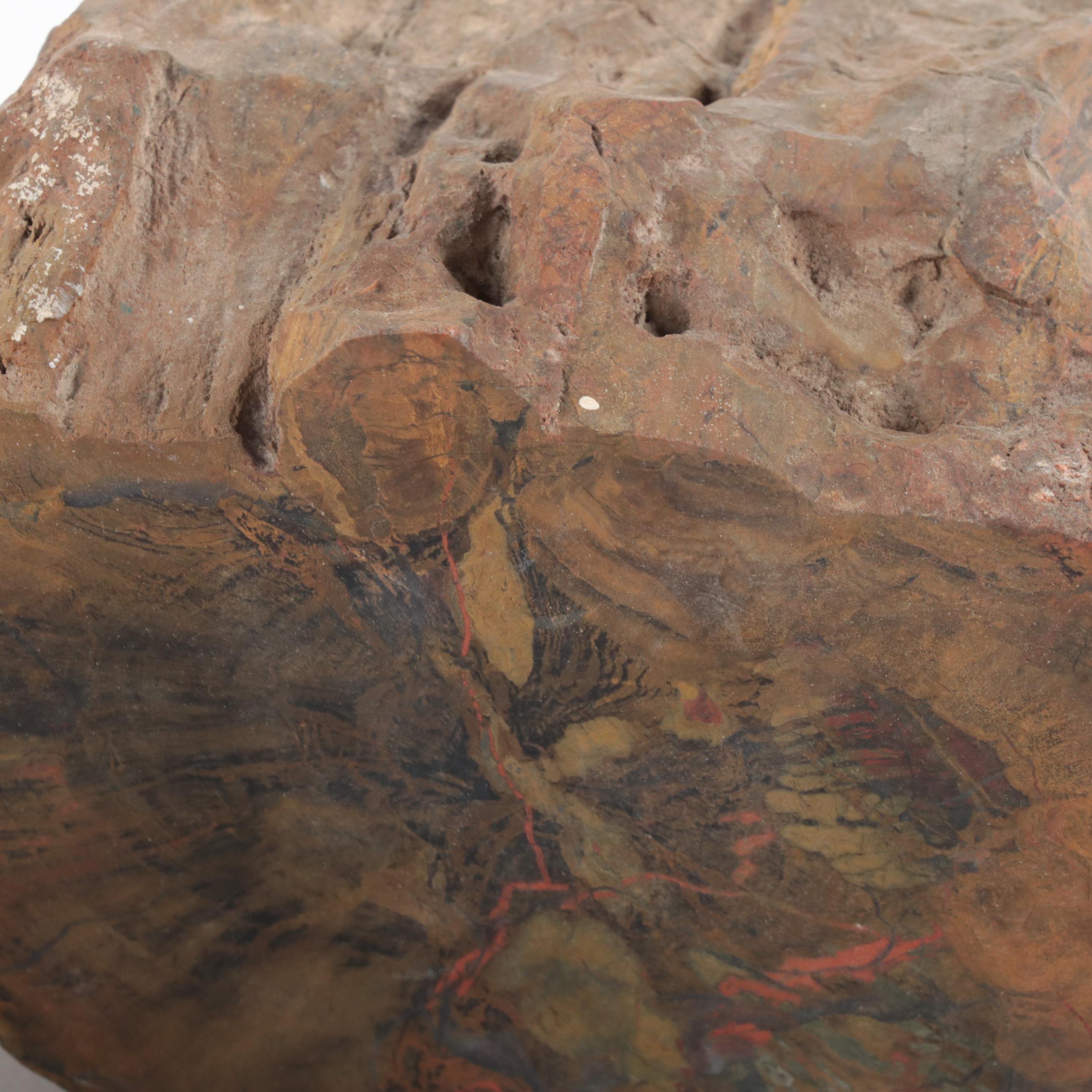 Rough Petrified Wood Specimens