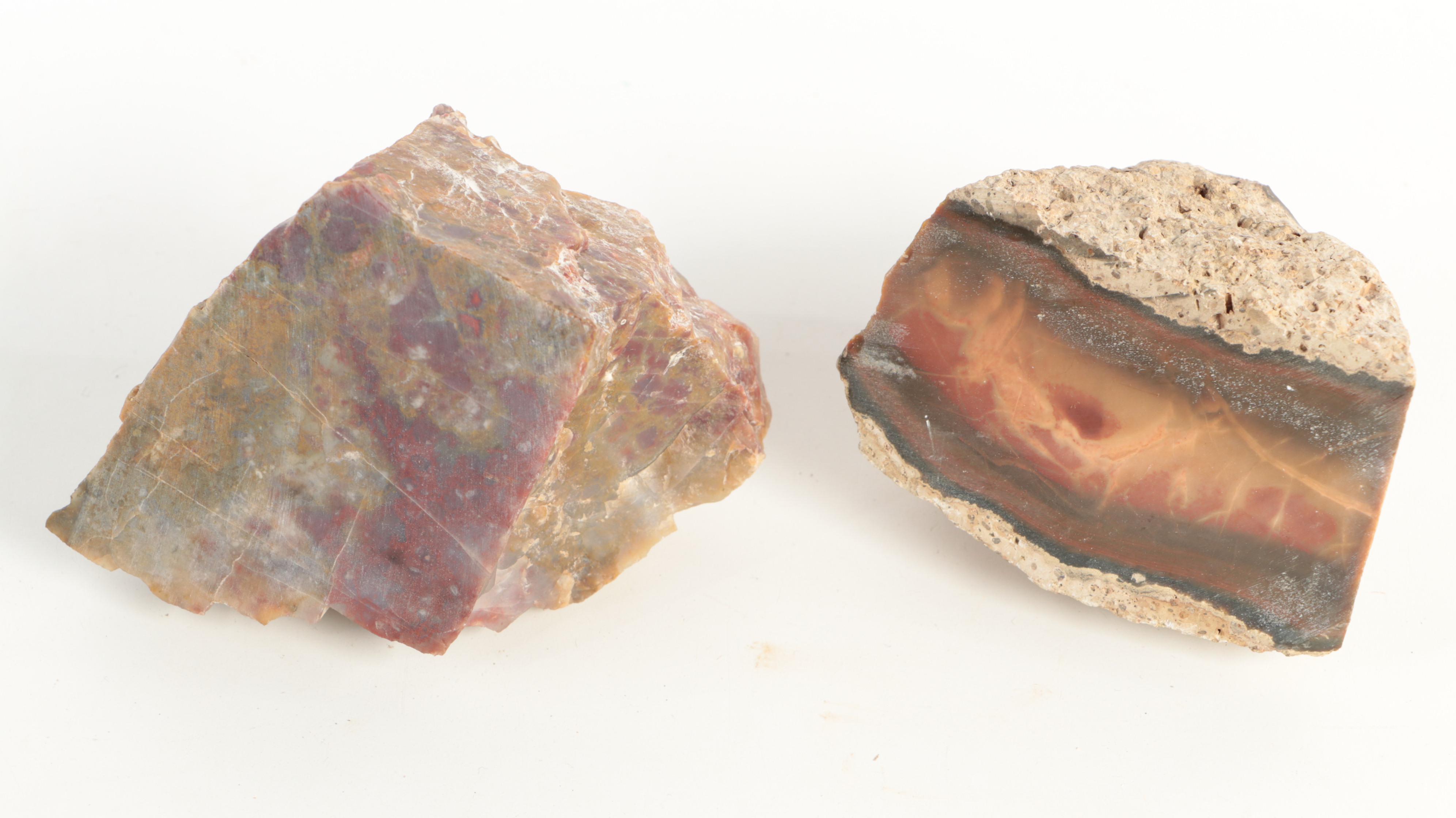 Rough Petrified Wood, Jasper, Chalcedony and Other Mineral Specimens