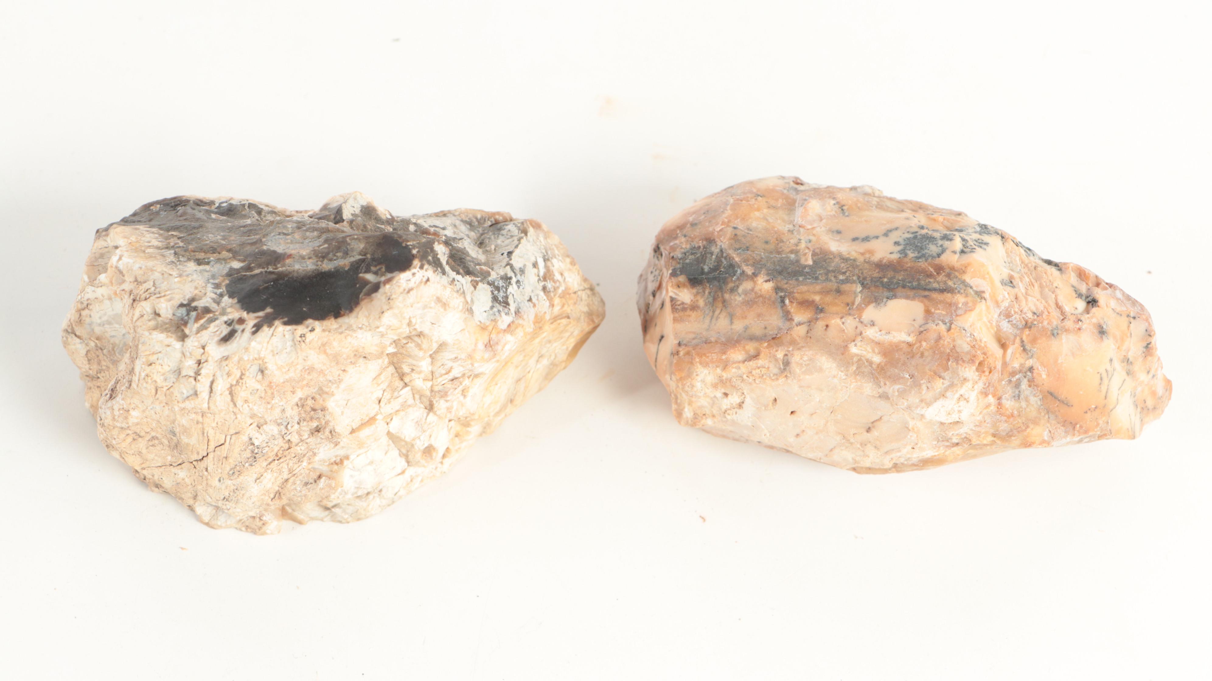 Rough Petrified Wood, Jasper, Chalcedony and Other Mineral Specimens