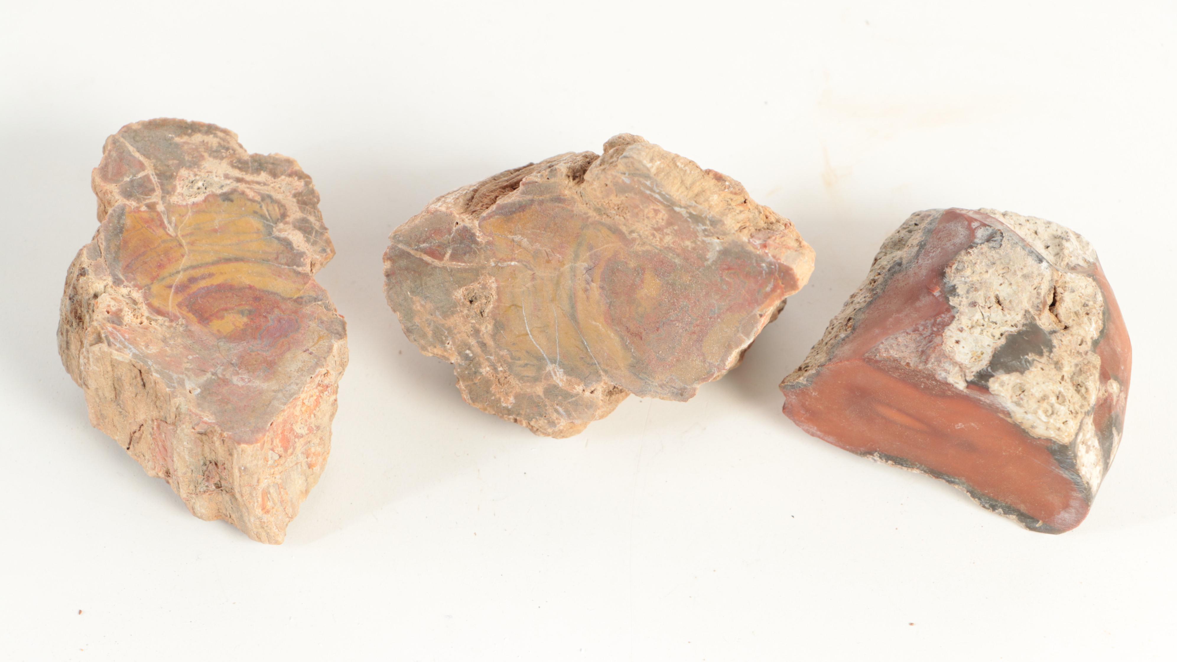 Rough Petrified Wood, Jasper, Chalcedony and Other Mineral Specimens