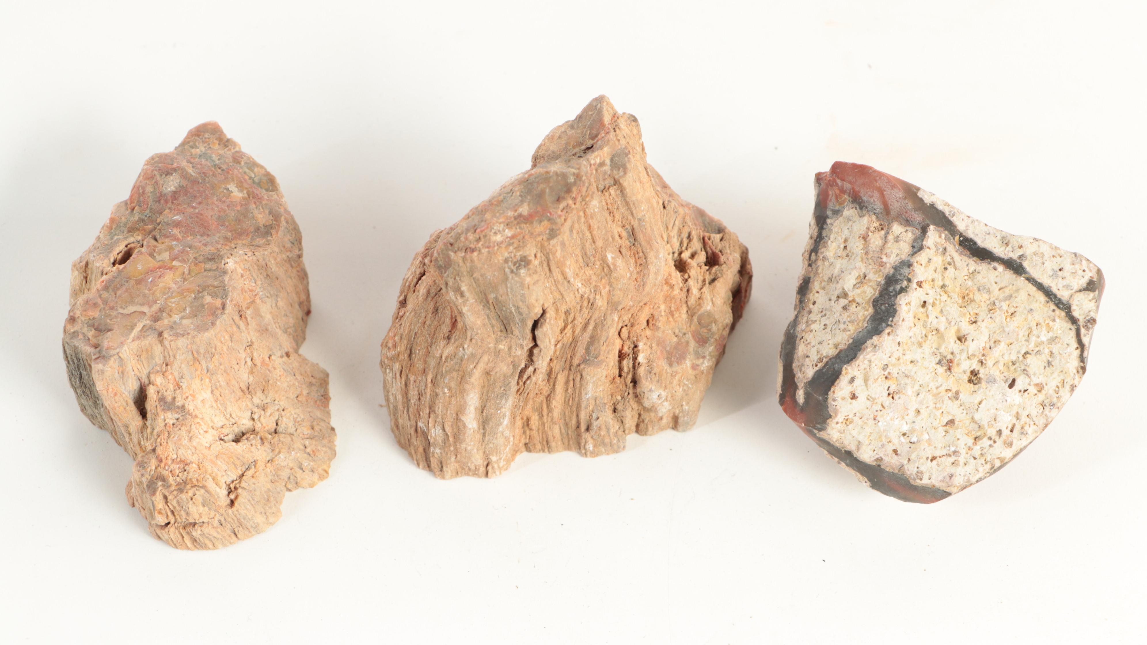 Rough Petrified Wood, Jasper, Chalcedony and Other Mineral Specimens