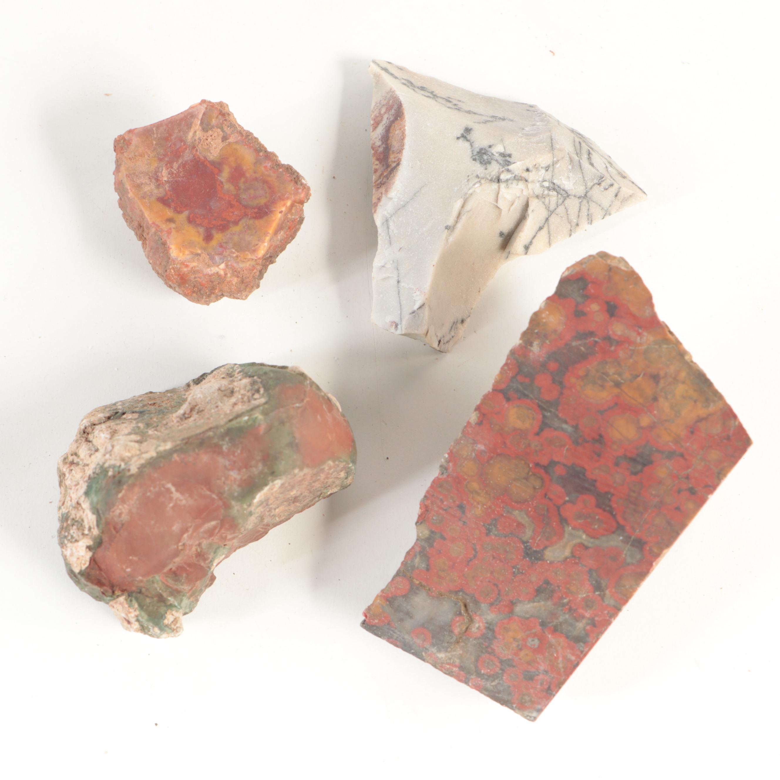 Rough Petrified Wood, Jasper, Chalcedony and Other Mineral Specimens