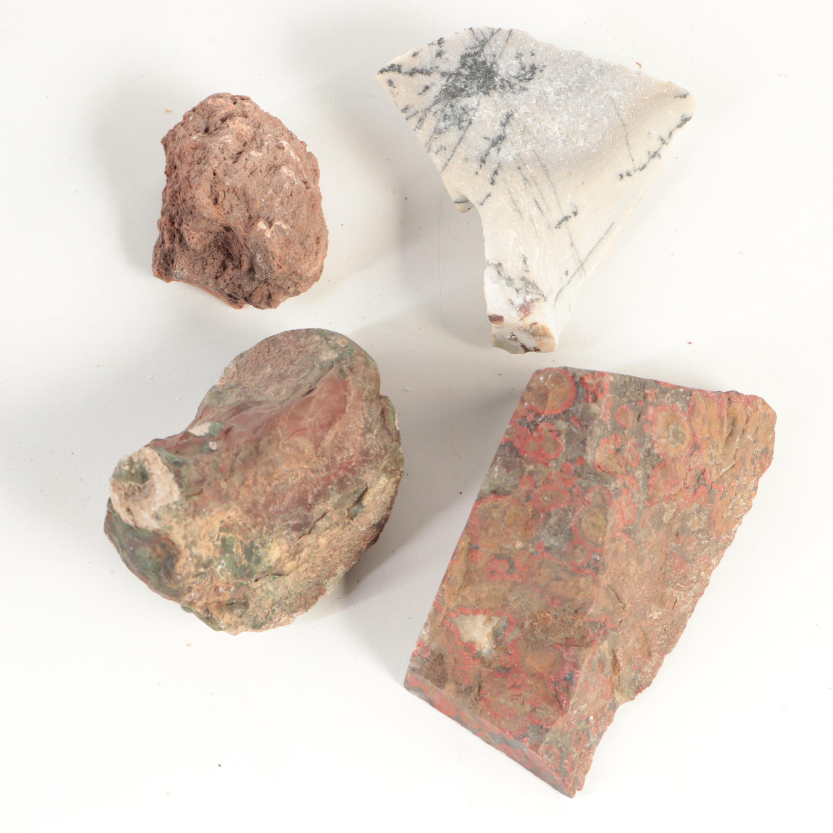 Rough Petrified Wood, Jasper, Chalcedony and Other Mineral Specimens