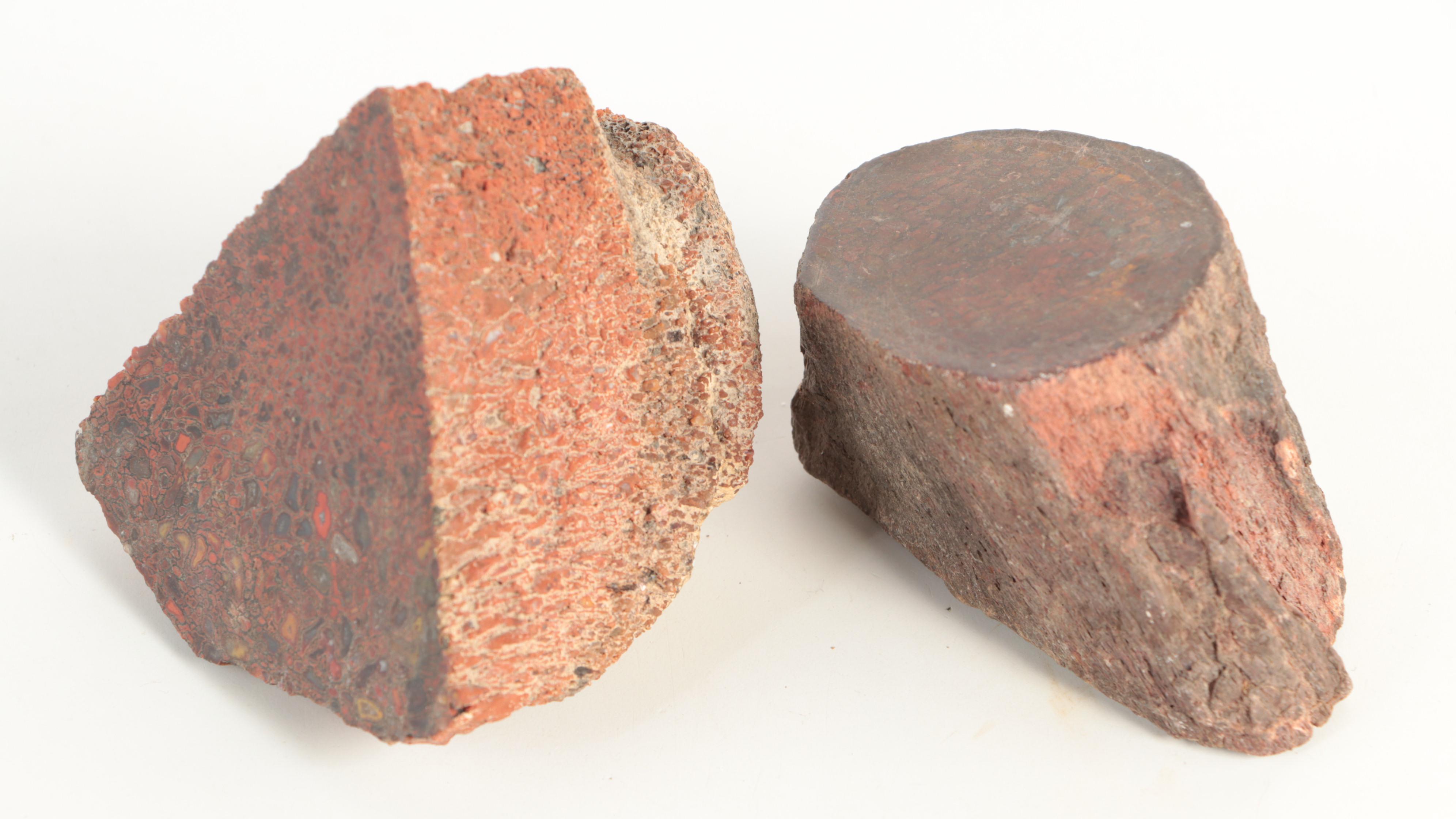 Agatized Fossil Dinosaur Bone Specimens