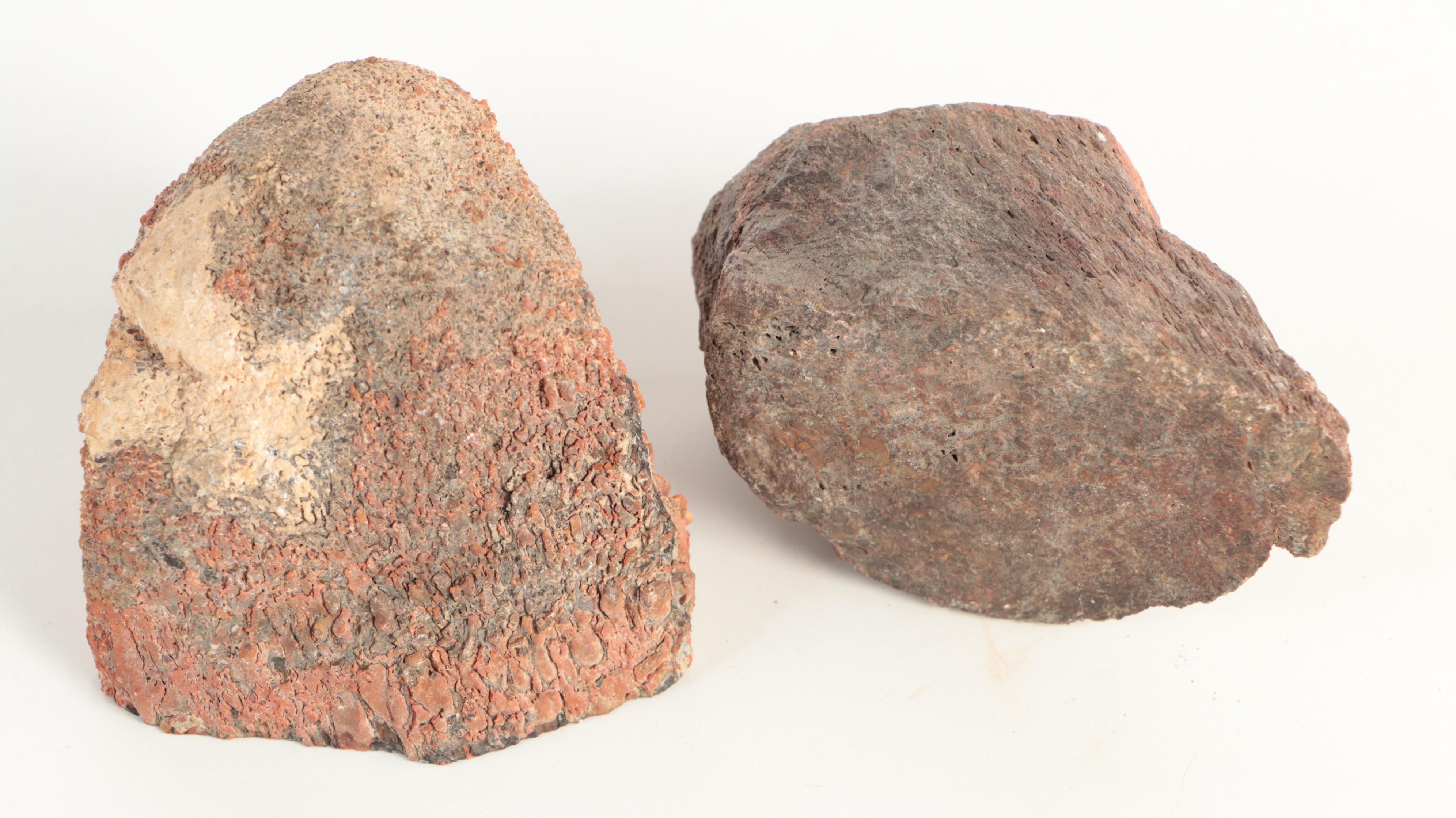 Agatized Fossil Dinosaur Bone Specimens