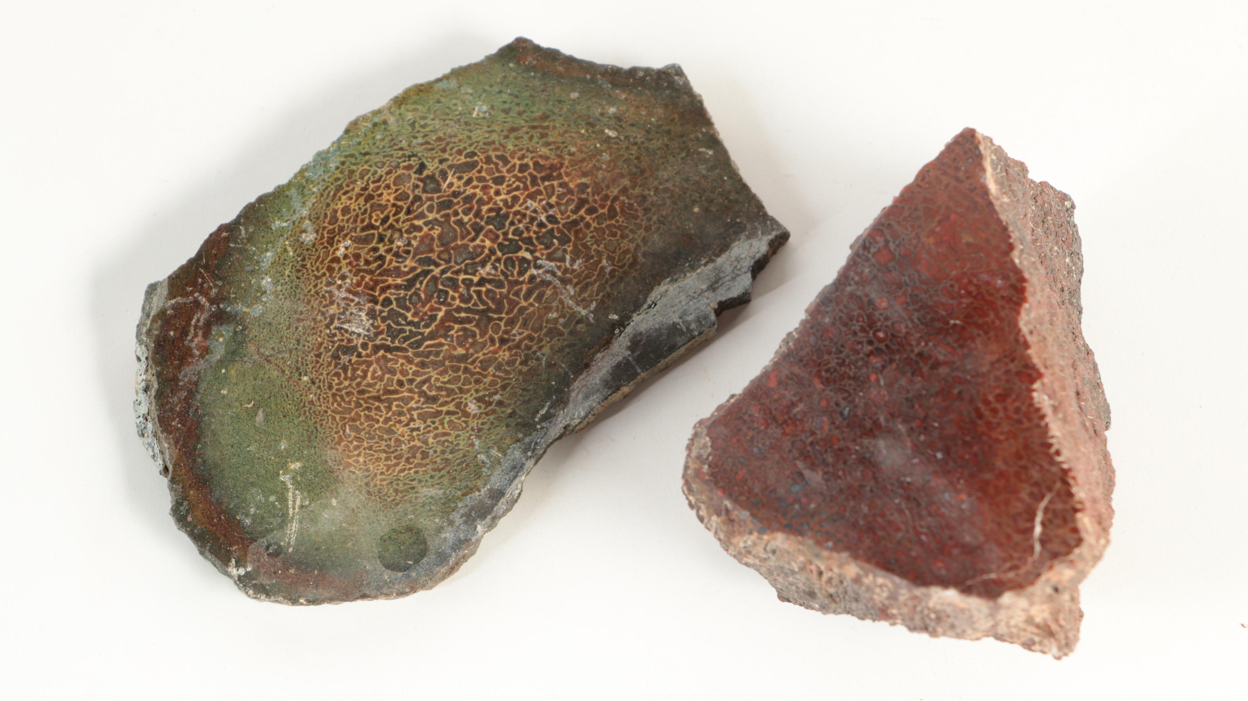 Agatized Fossil Dinosaur Bone Specimens