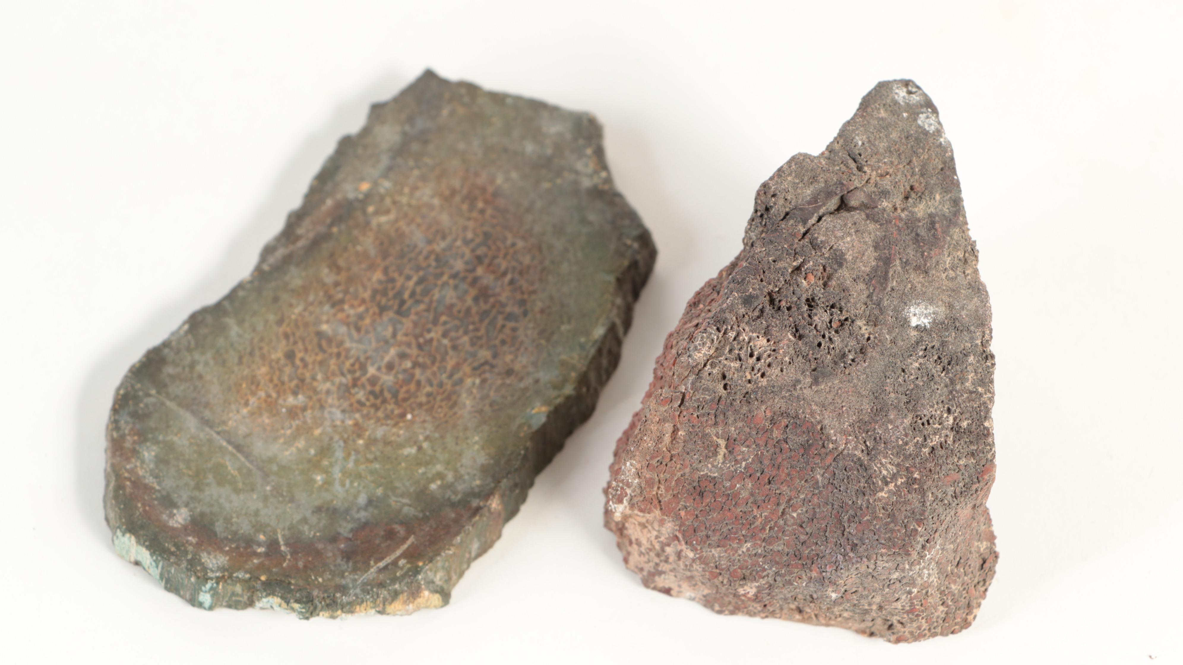 Agatized Fossil Dinosaur Bone Specimens