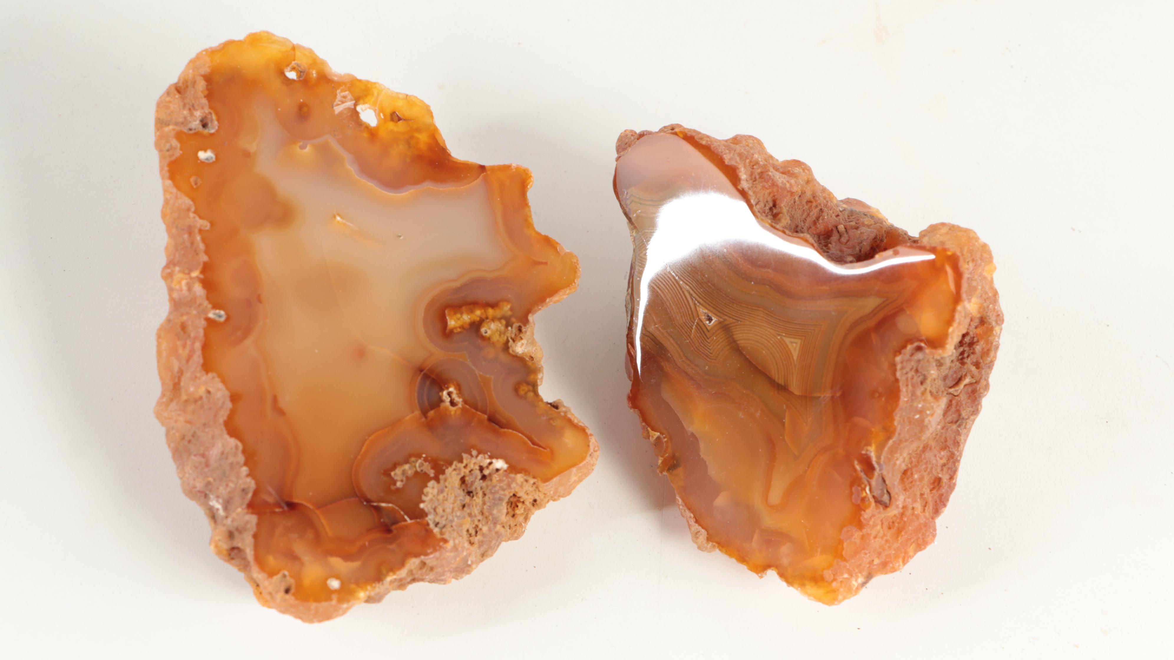 Polished Carnelian Agate Mineral Specimens