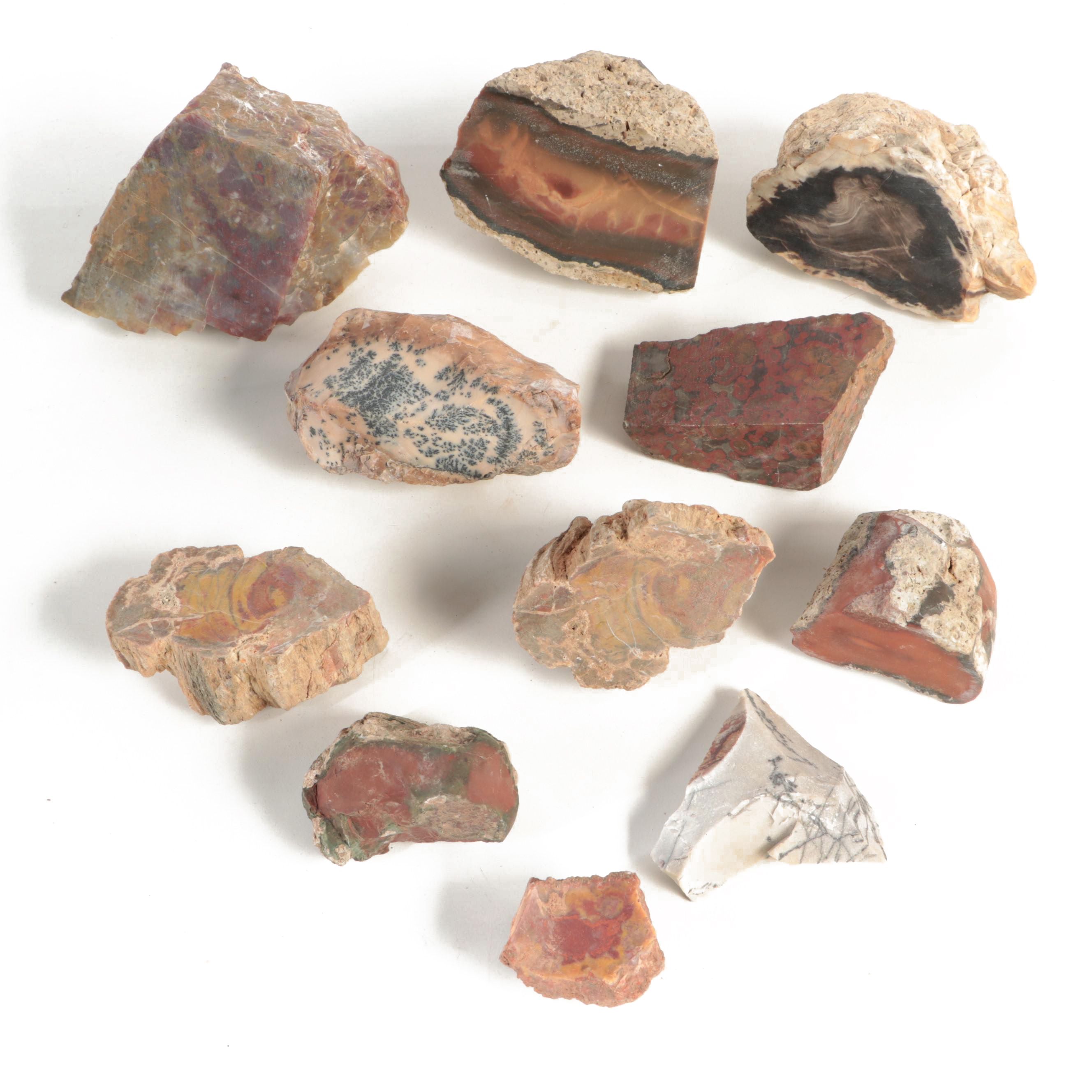 Rough Petrified Wood, Jasper, Chalcedony and Other Mineral Specimens