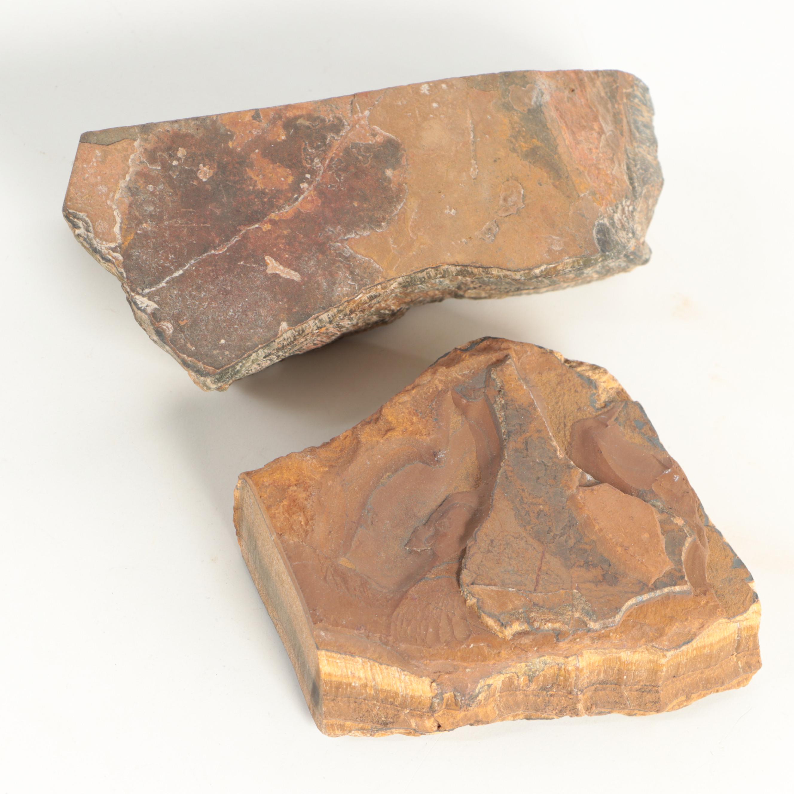 Rough Tiger's Eye Mineral Specimens with Polished Hawk's Eye Specimen