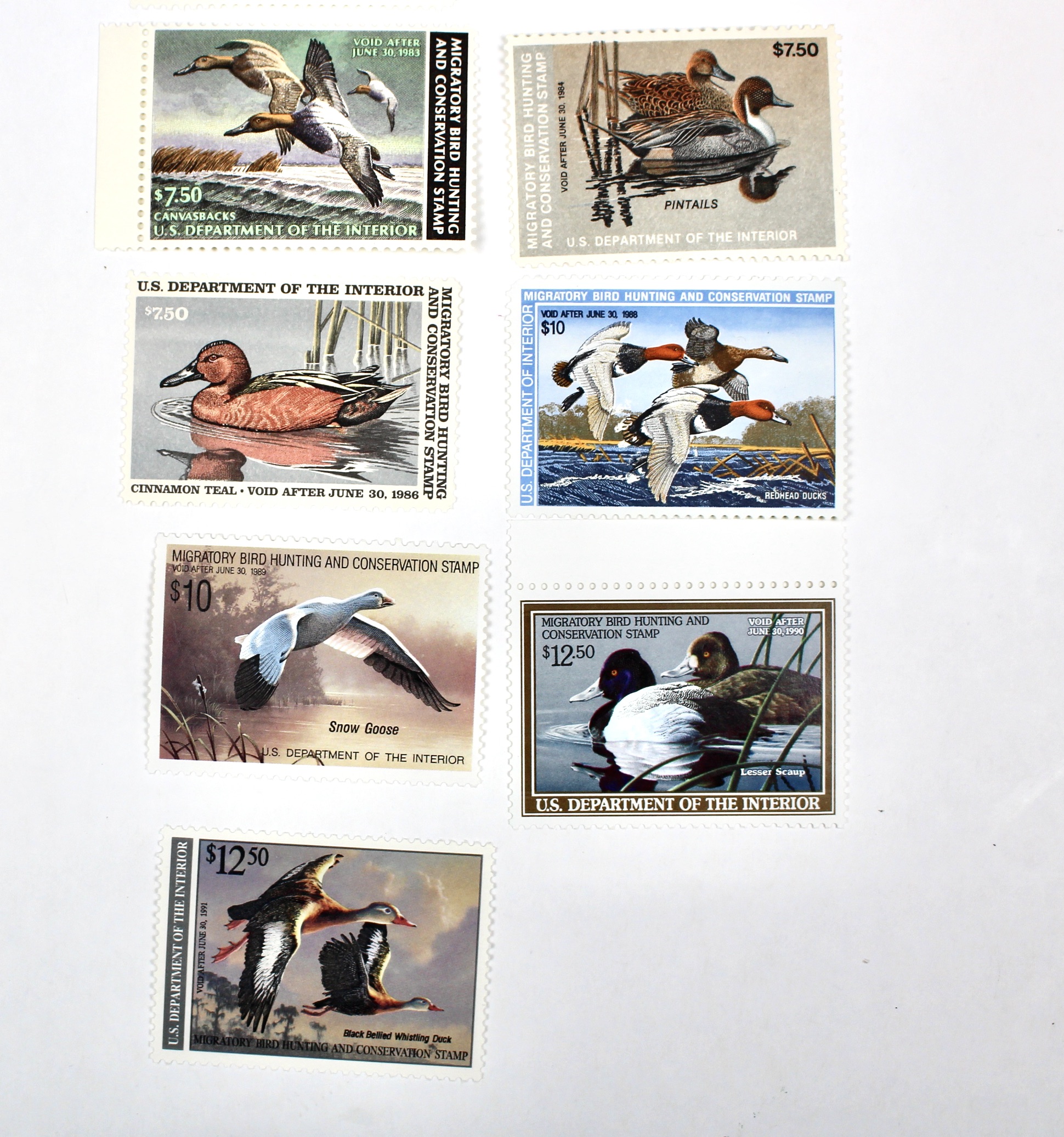 Thirteen MNH U.S. Duck Stamps