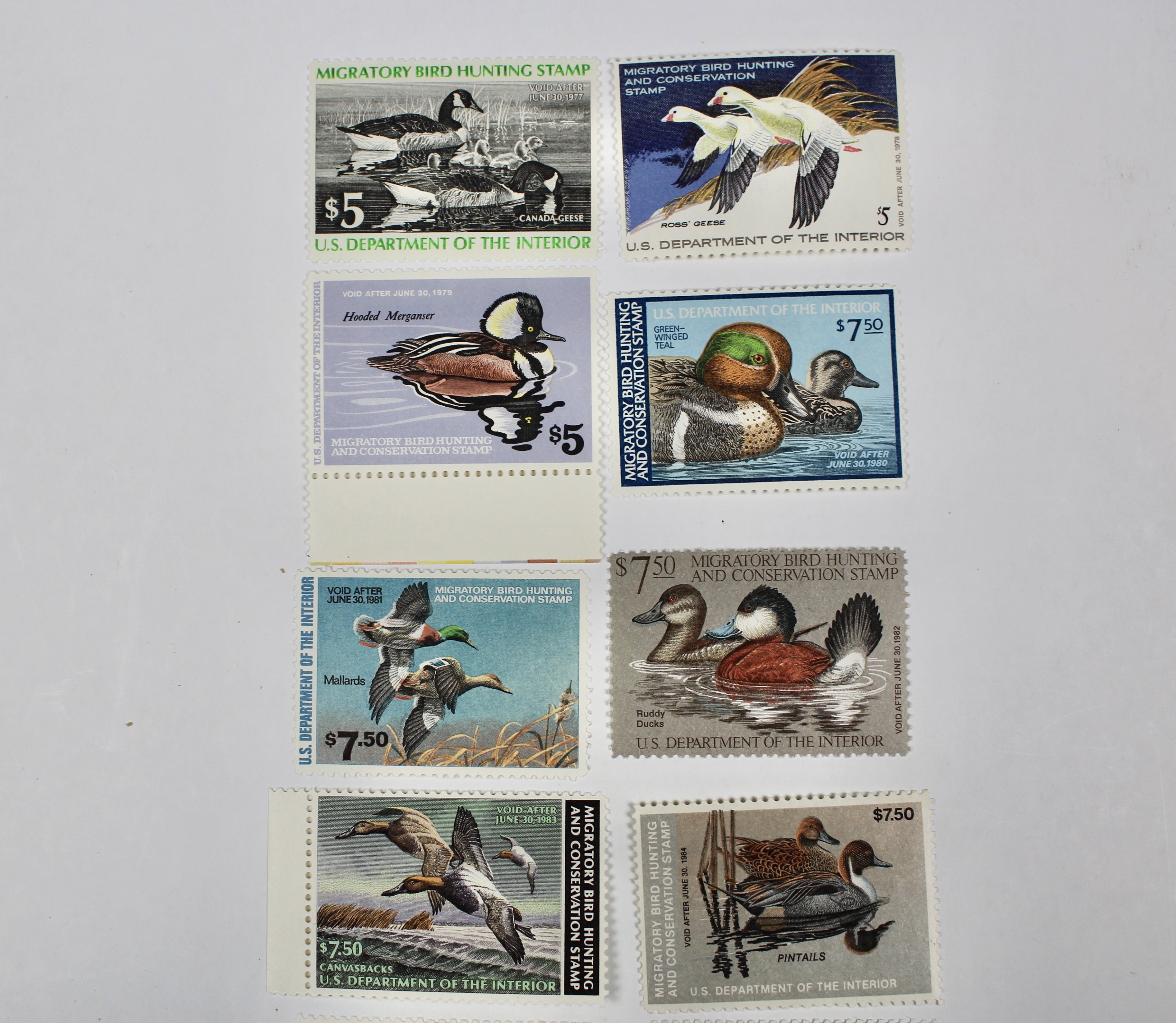 Thirteen MNH U.S. Duck Stamps
