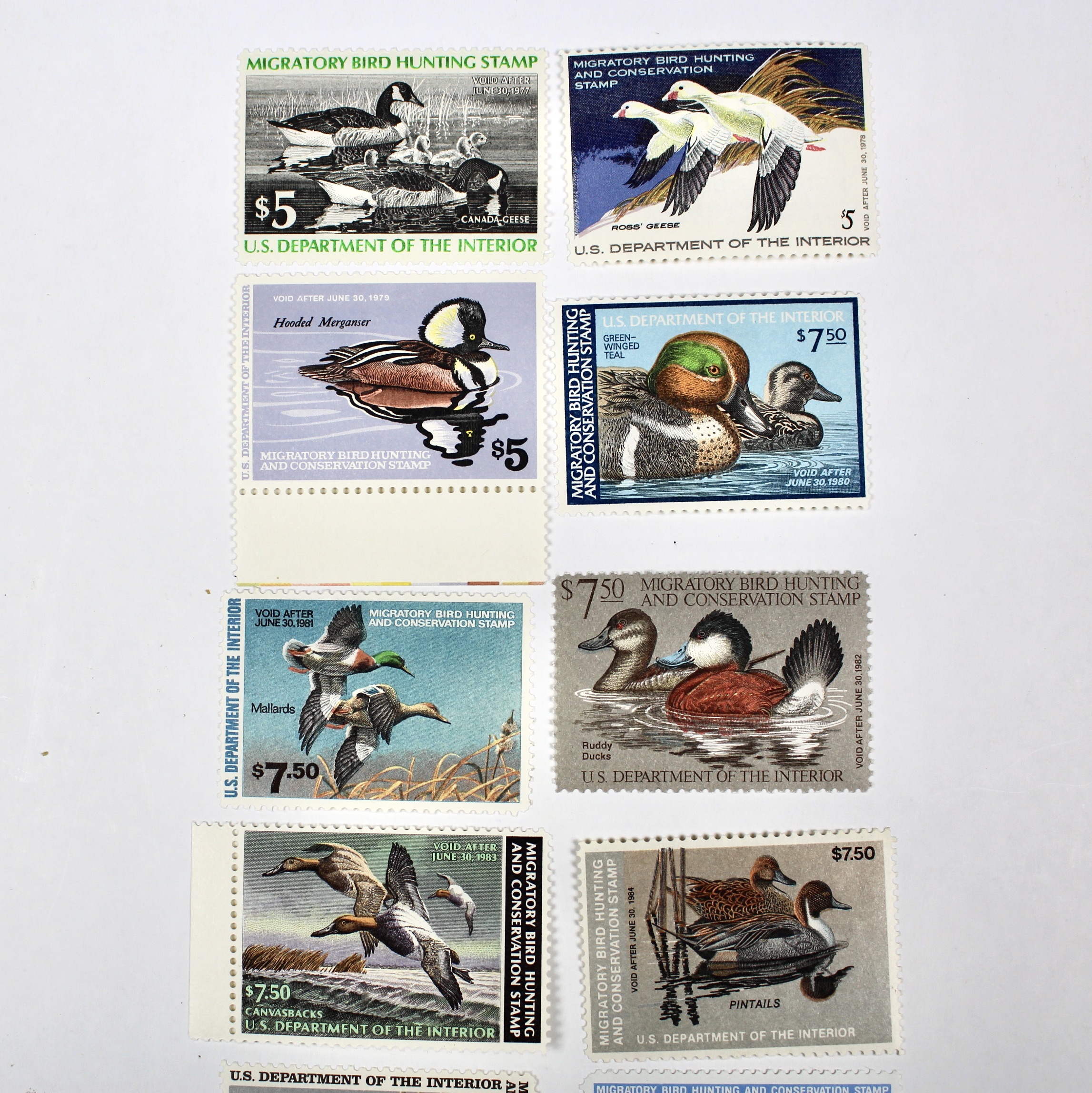 Thirteen MNH U.S. Duck Stamps