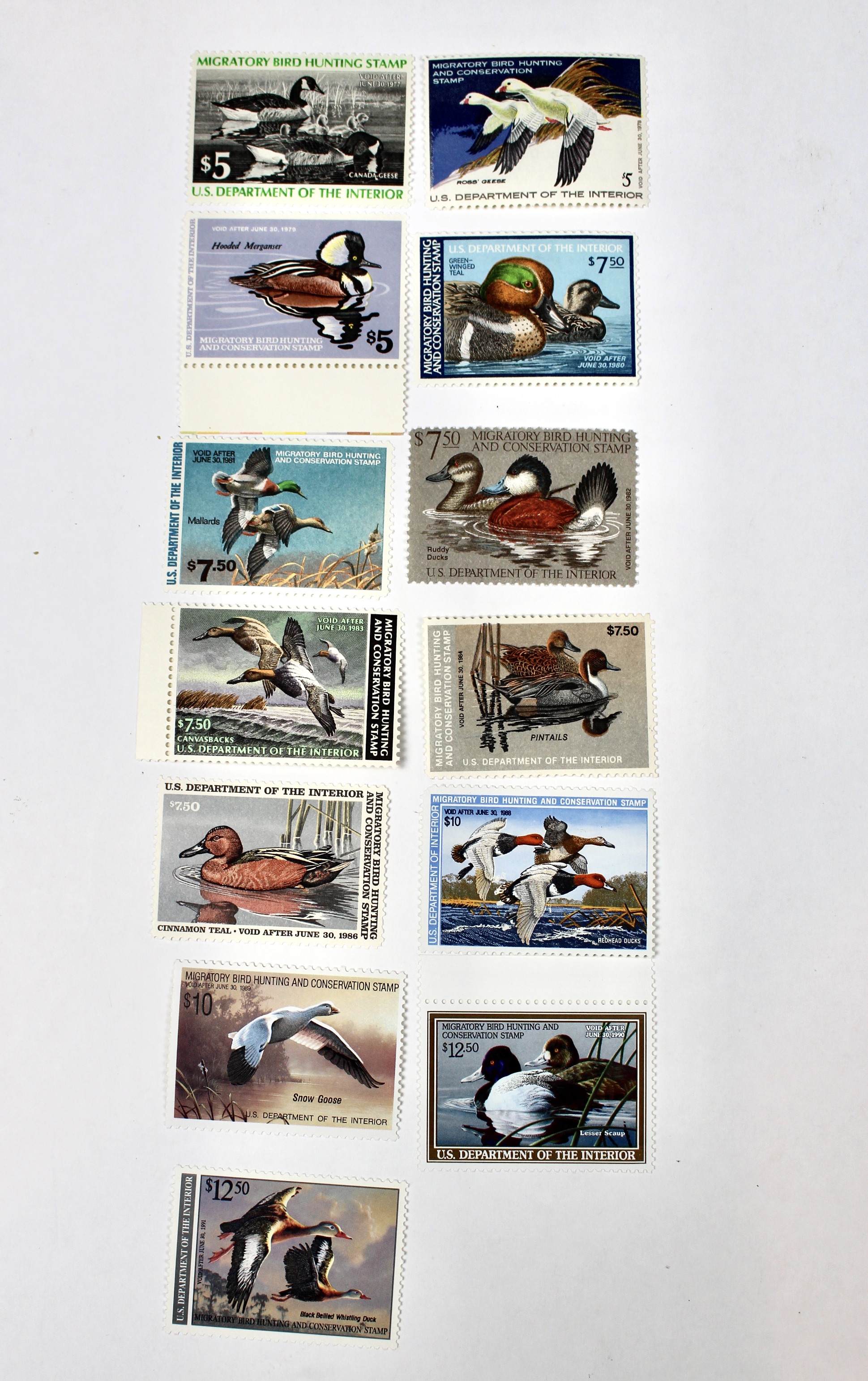 Thirteen MNH U.S. Duck Stamps