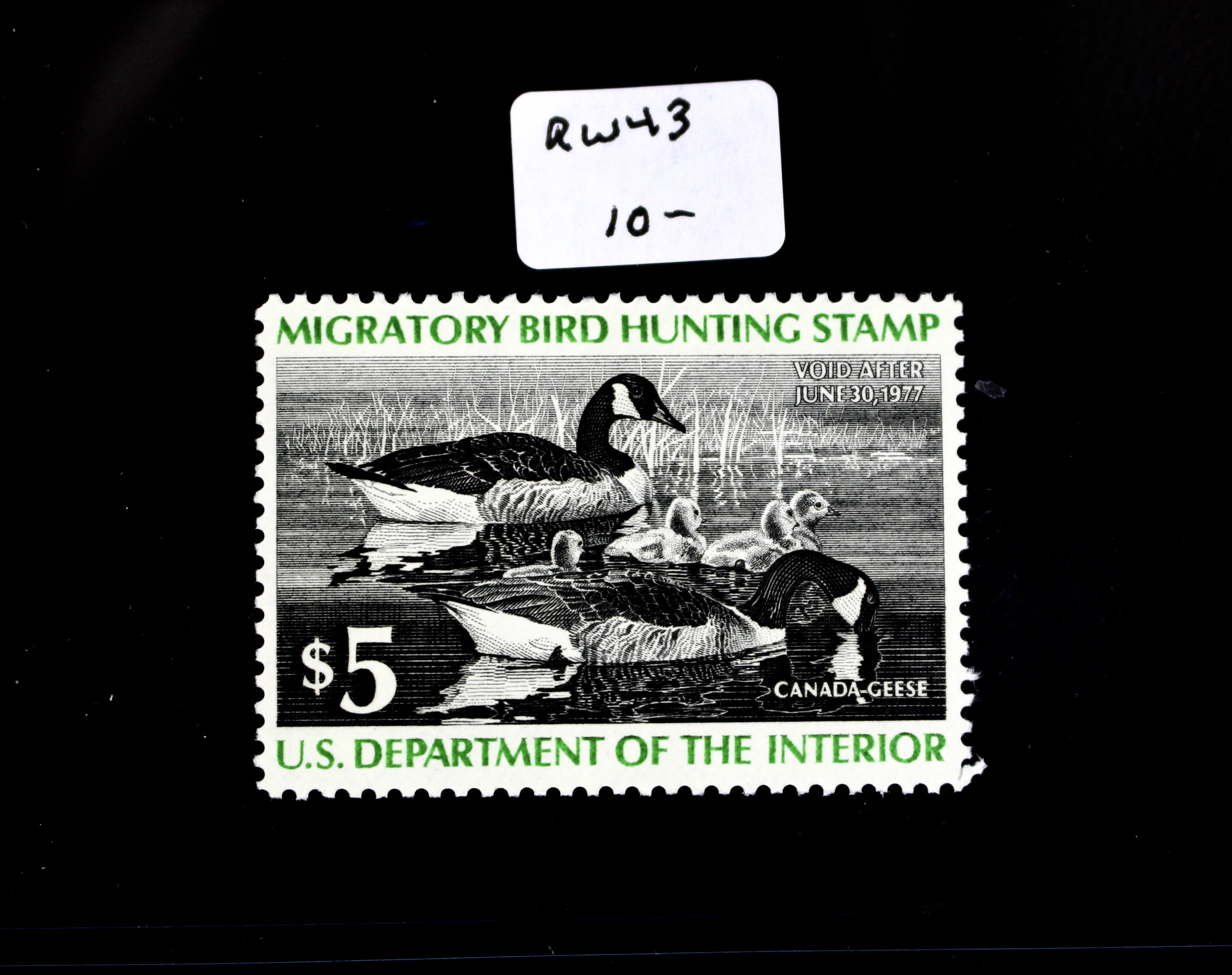 Thirteen MNH U.S. Duck Stamps