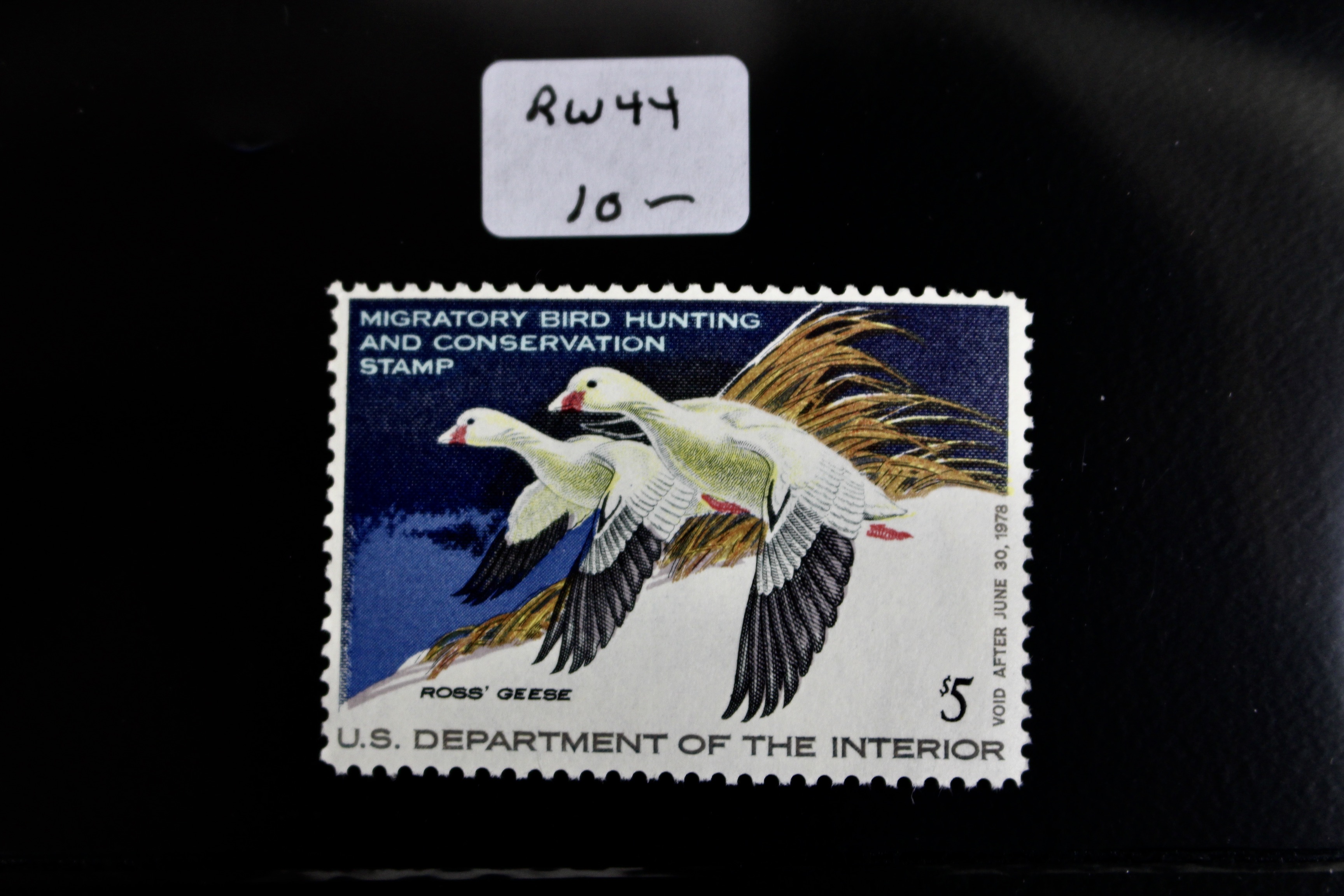 Thirteen MNH U.S. Duck Stamps