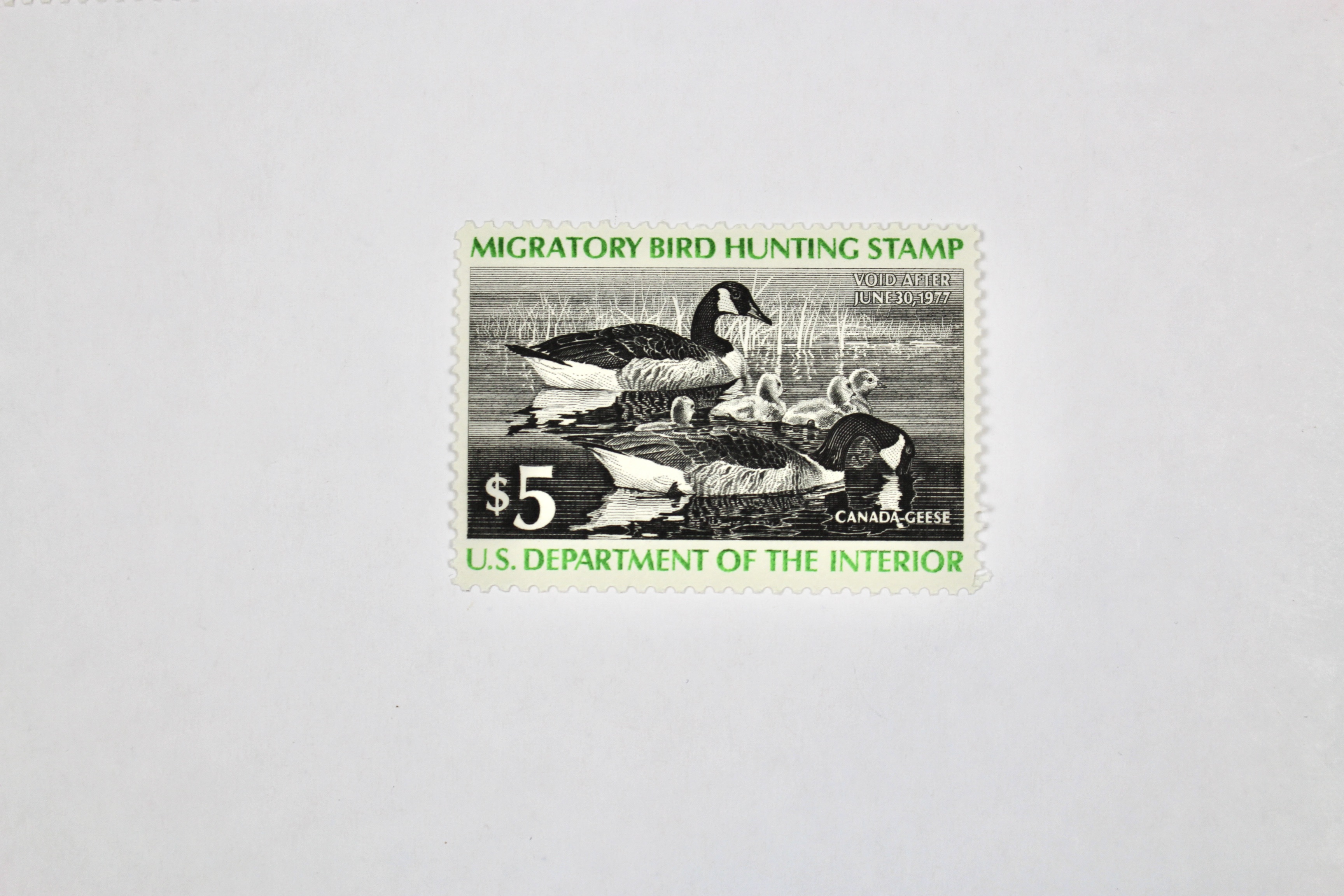 Thirteen MNH U.S. Duck Stamps