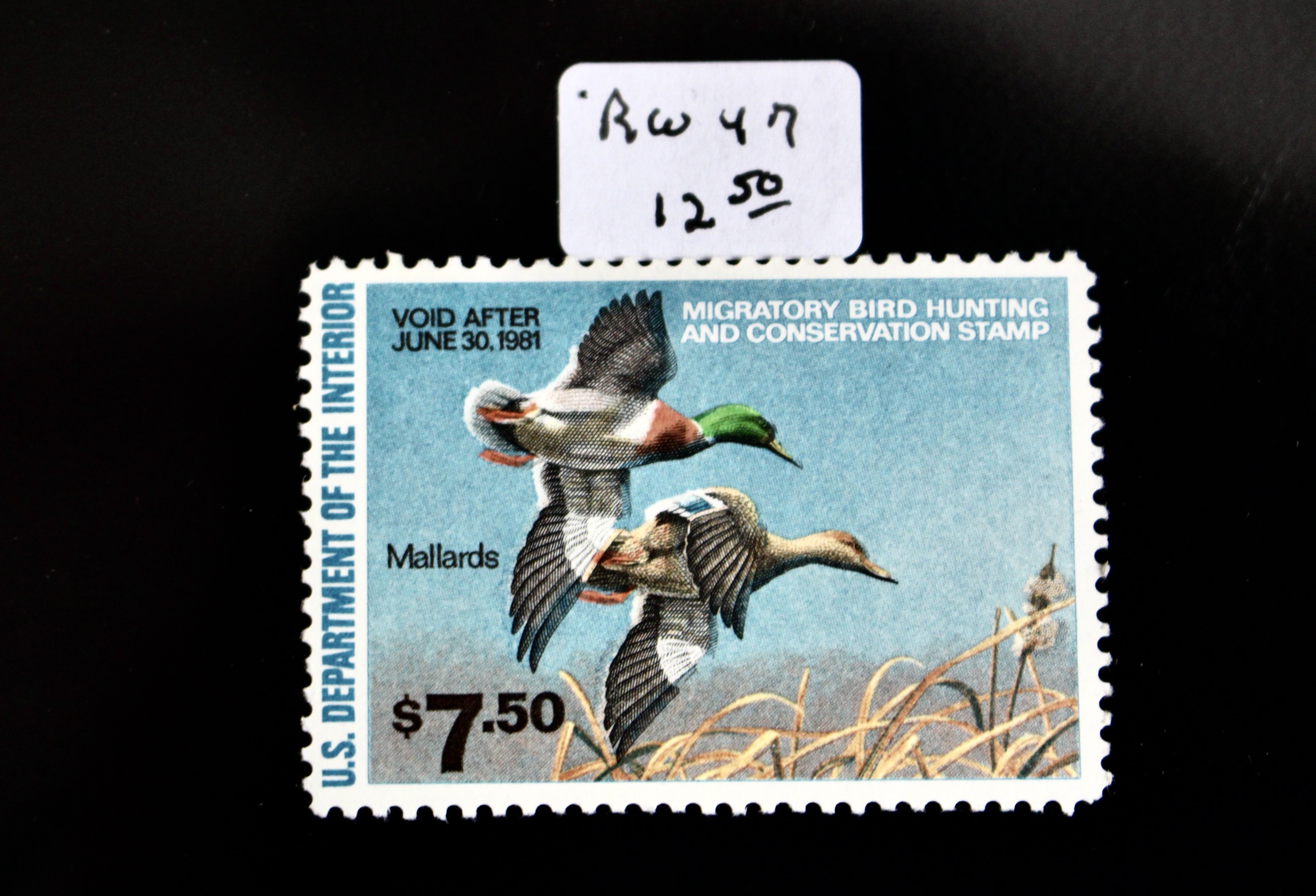 Thirteen MNH U.S. Duck Stamps