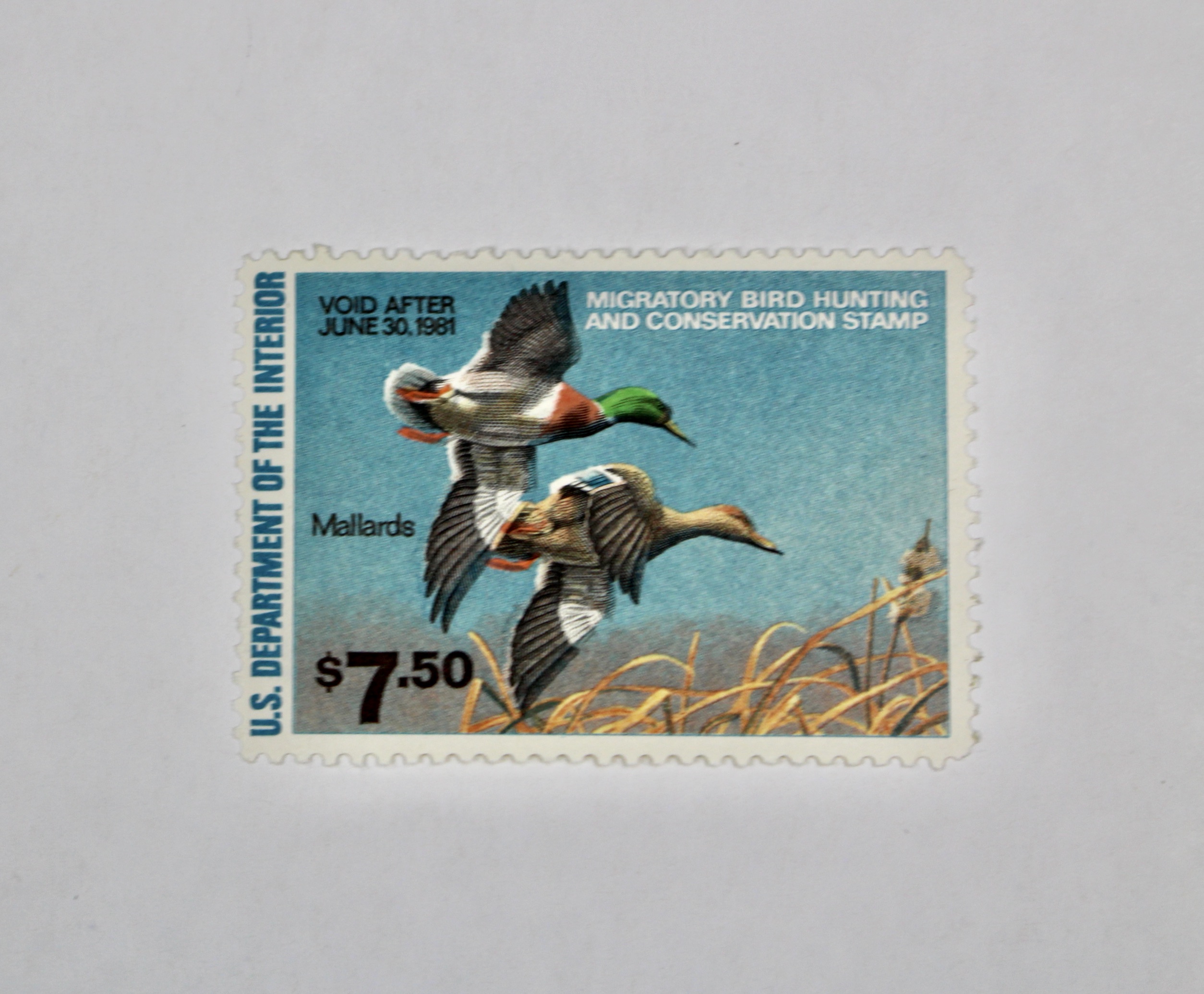 Thirteen MNH U.S. Duck Stamps