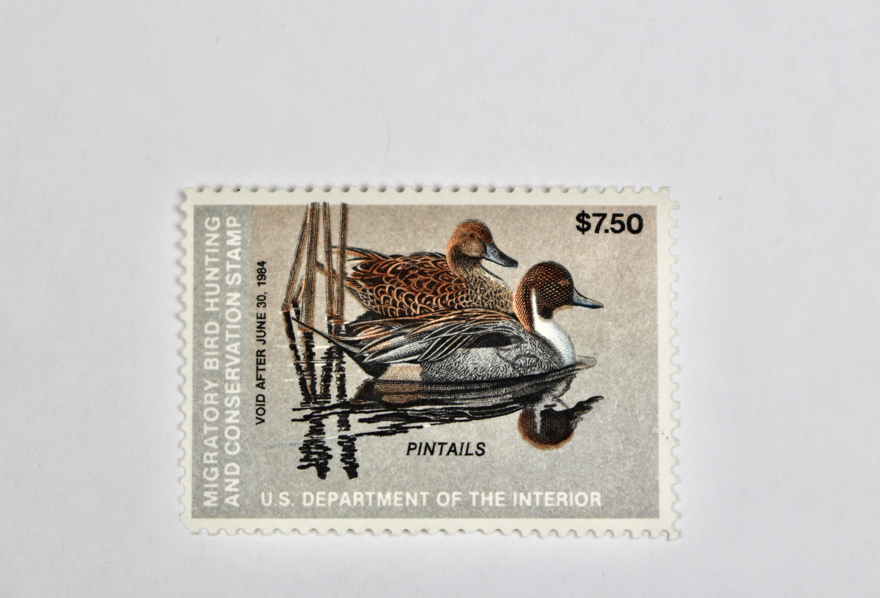 Thirteen MNH U.S. Duck Stamps
