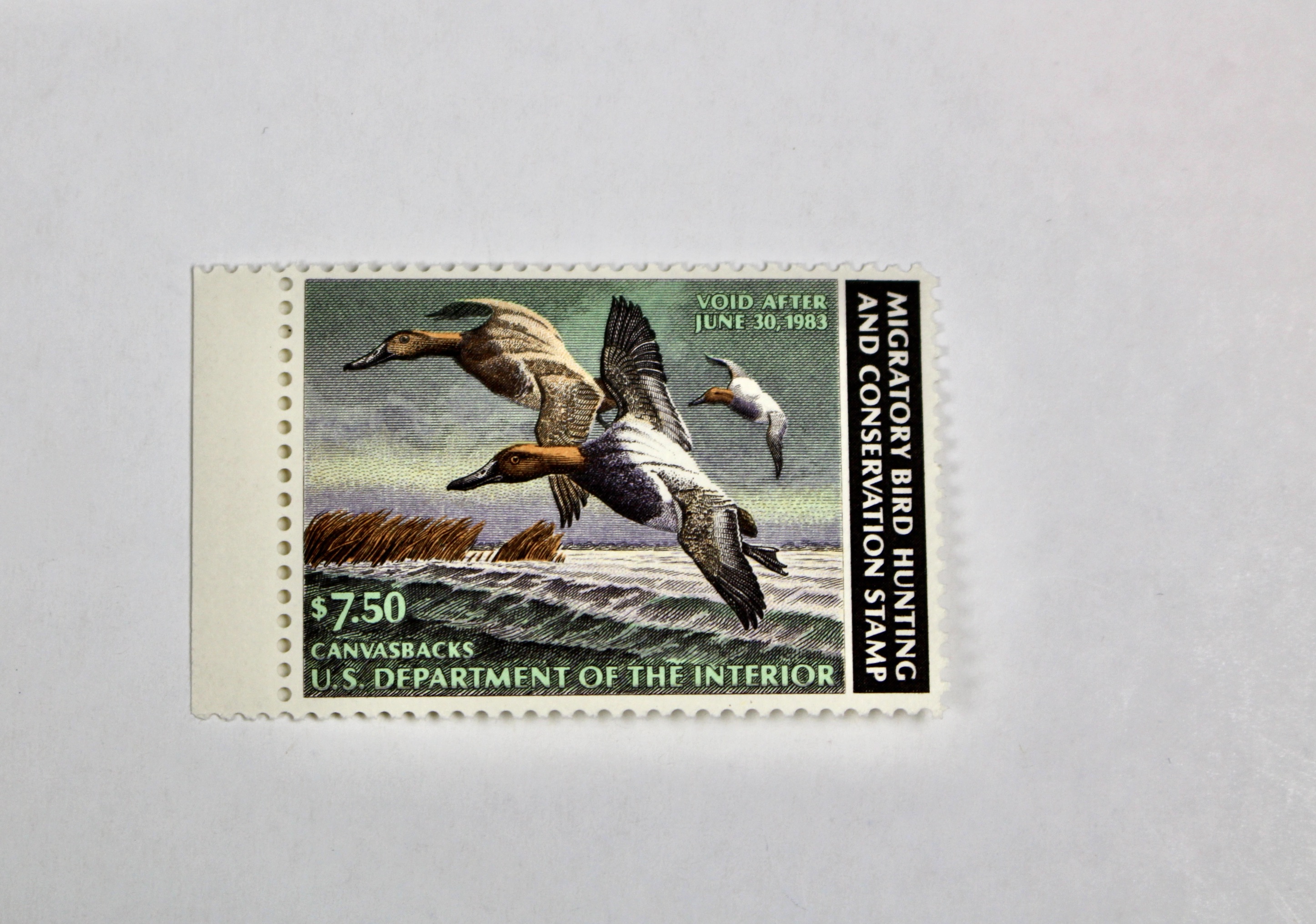 Thirteen MNH U.S. Duck Stamps