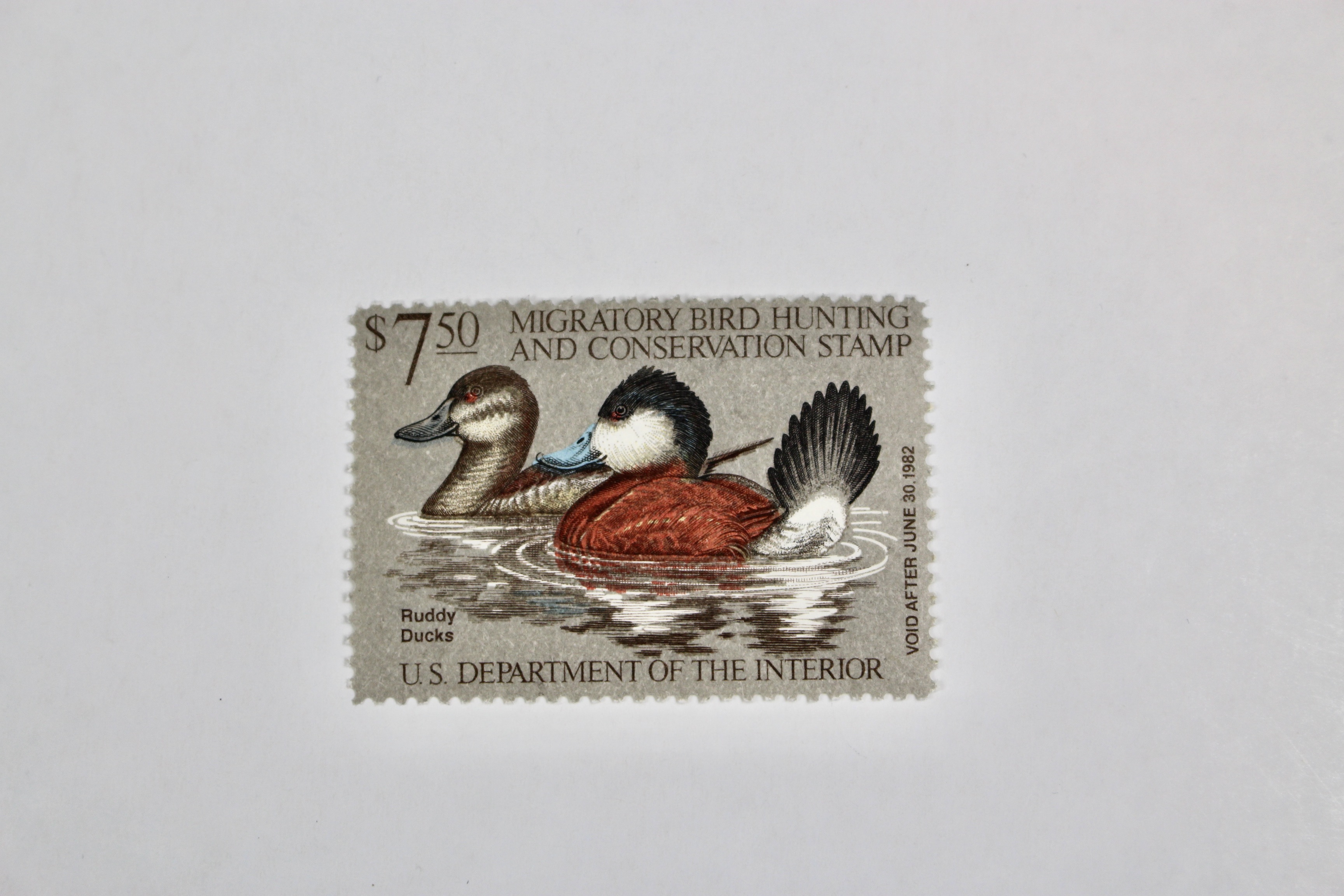 Thirteen MNH U.S. Duck Stamps