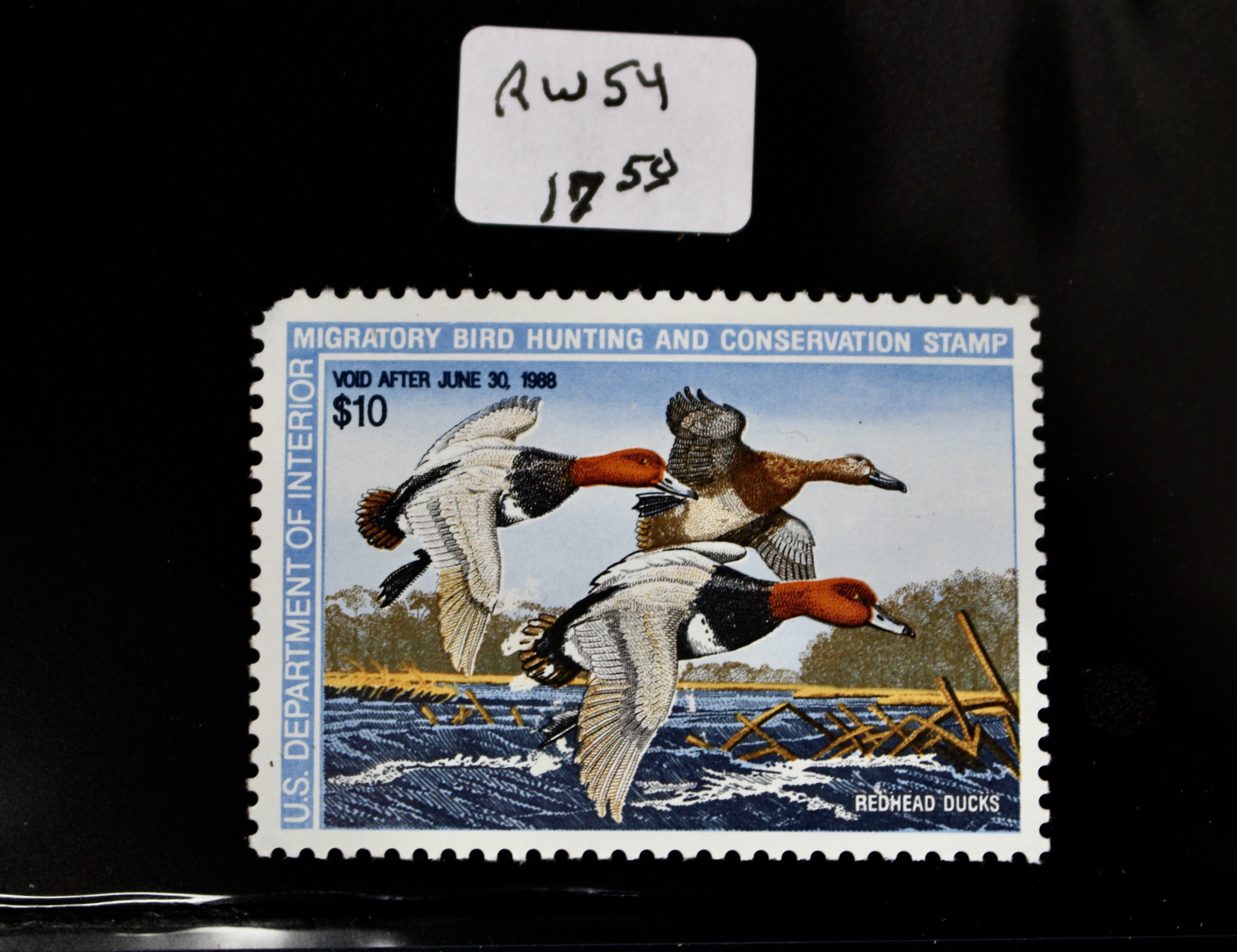 Thirteen MNH U.S. Duck Stamps