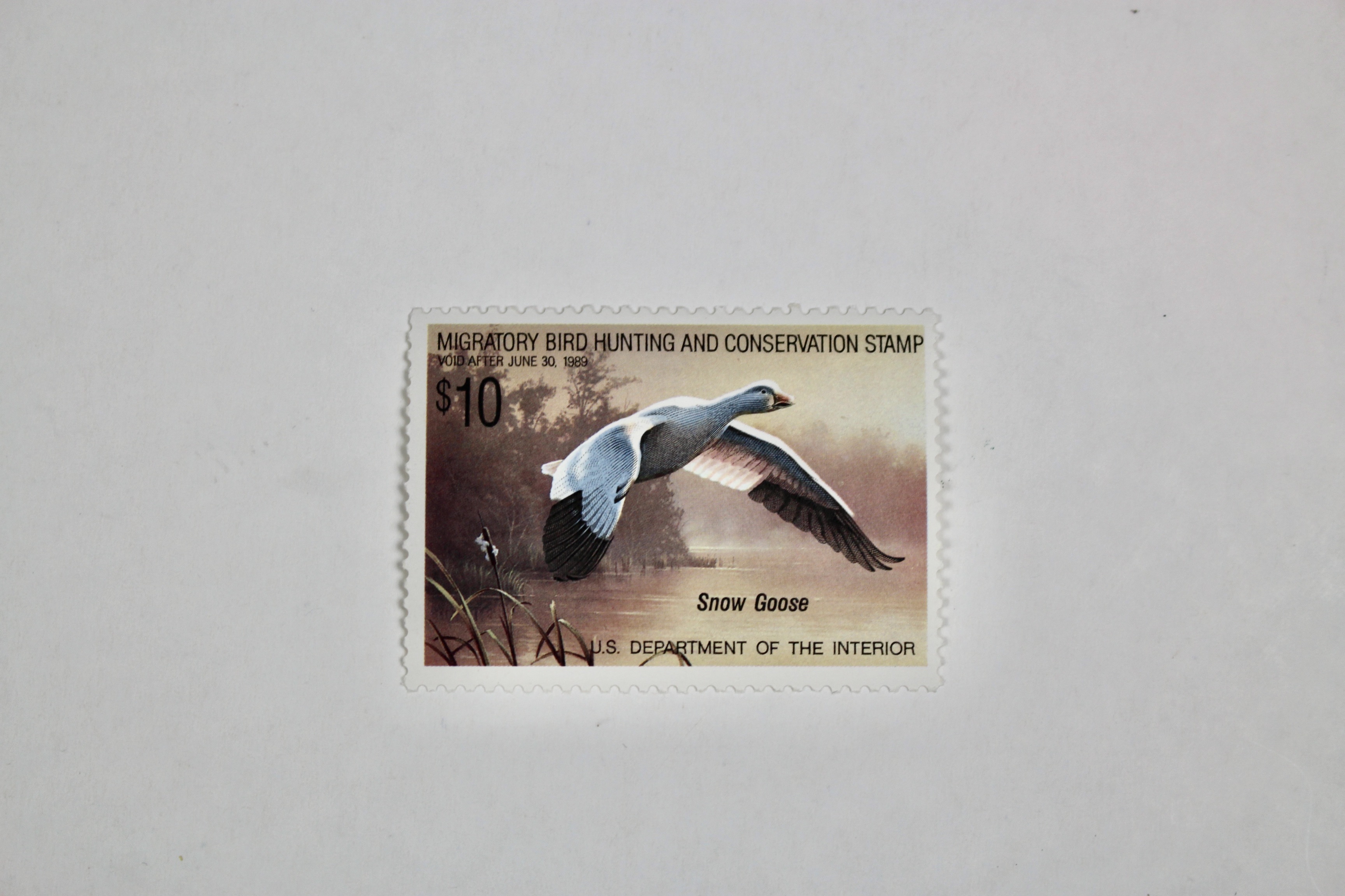 Thirteen MNH U.S. Duck Stamps