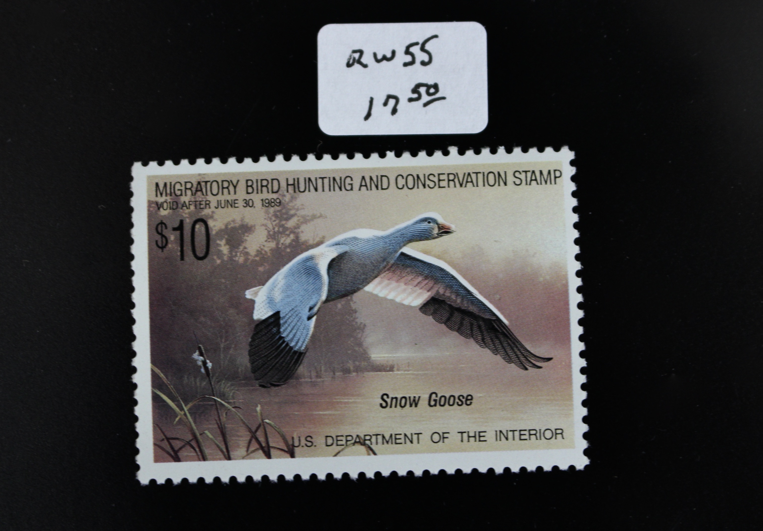 Thirteen MNH U.S. Duck Stamps